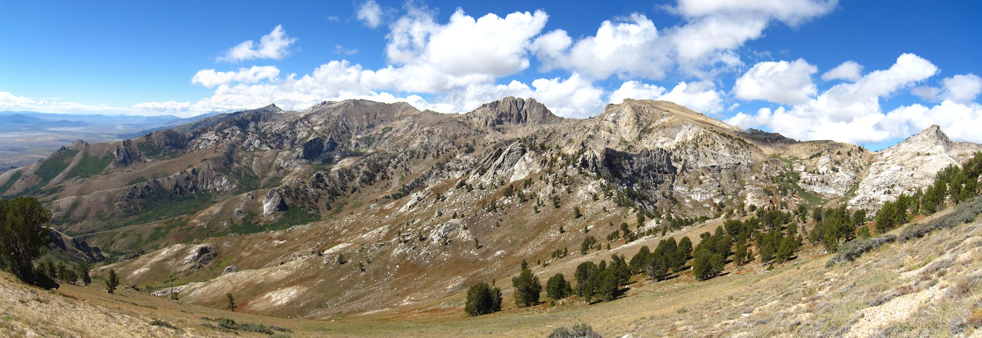 Humboldt-Toiyabe National Forest