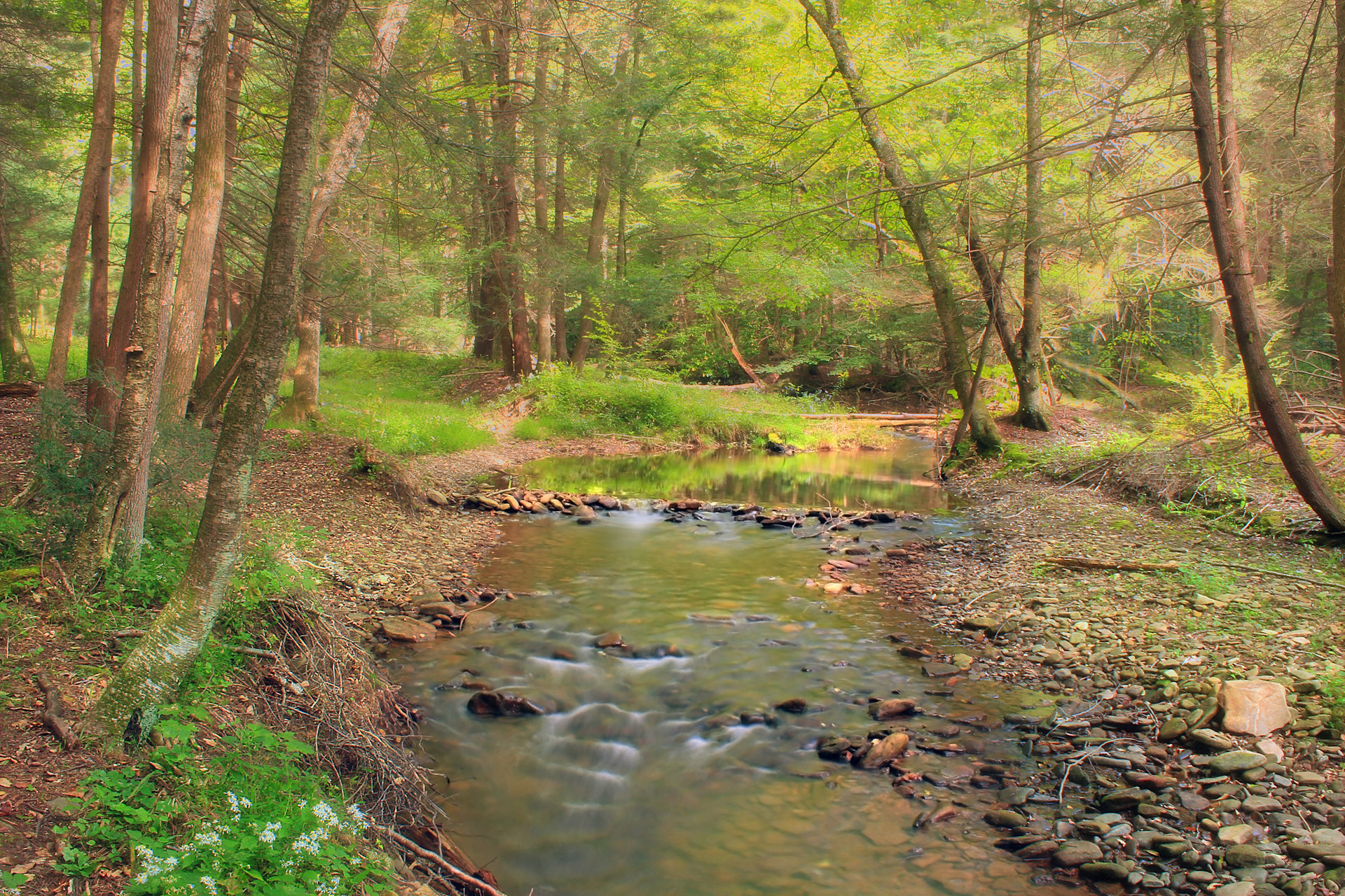Hyner Run State Park Campground