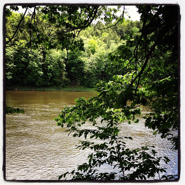 Wilgus State Park