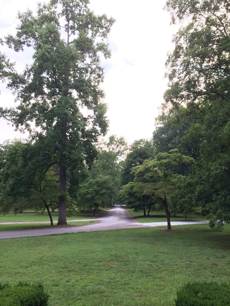 Parsons Mountain Recreation Area
