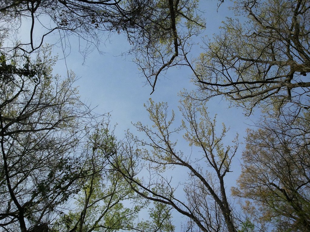 LeFleurs Bluff Campground