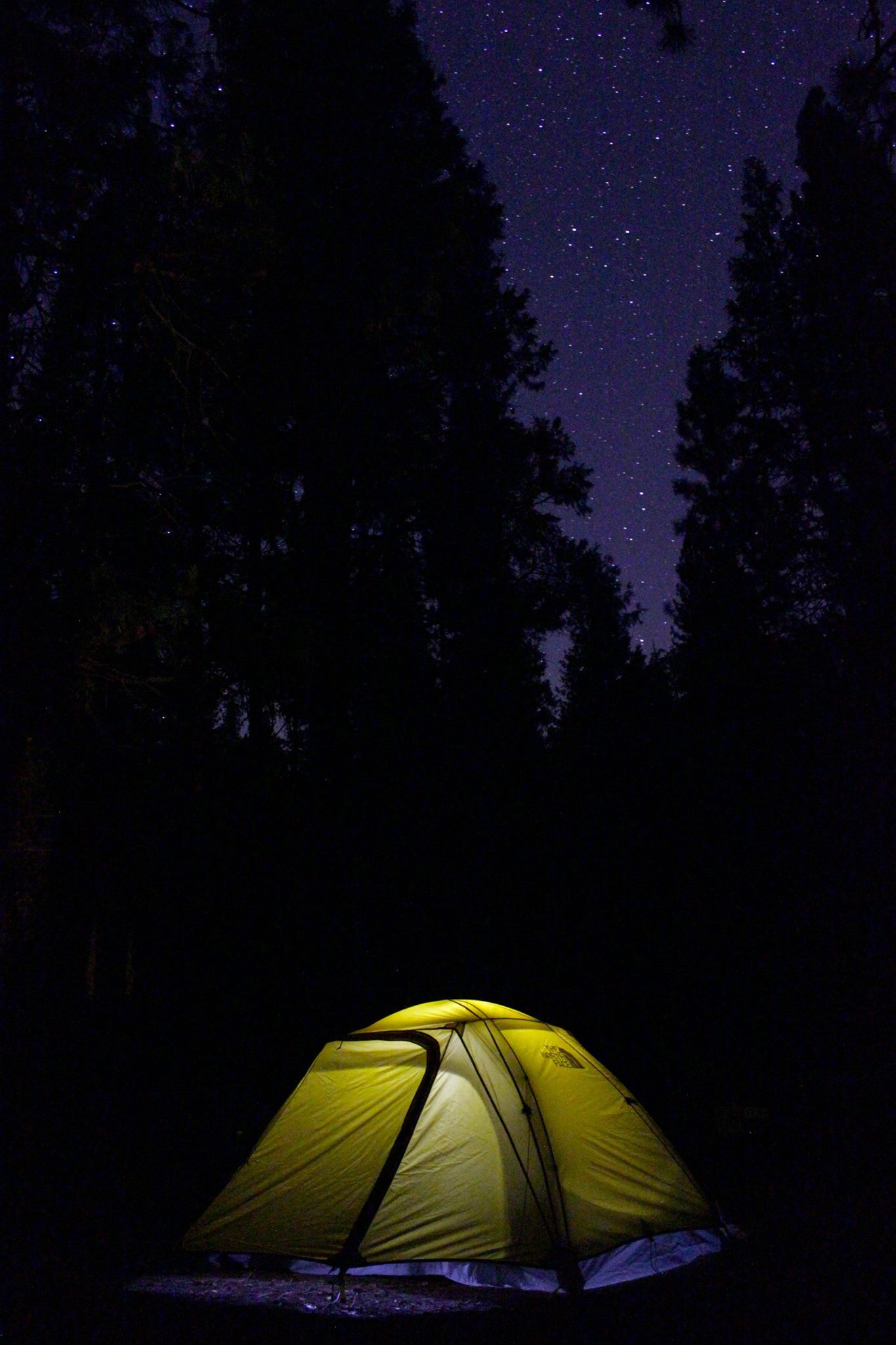 Wawona Campground