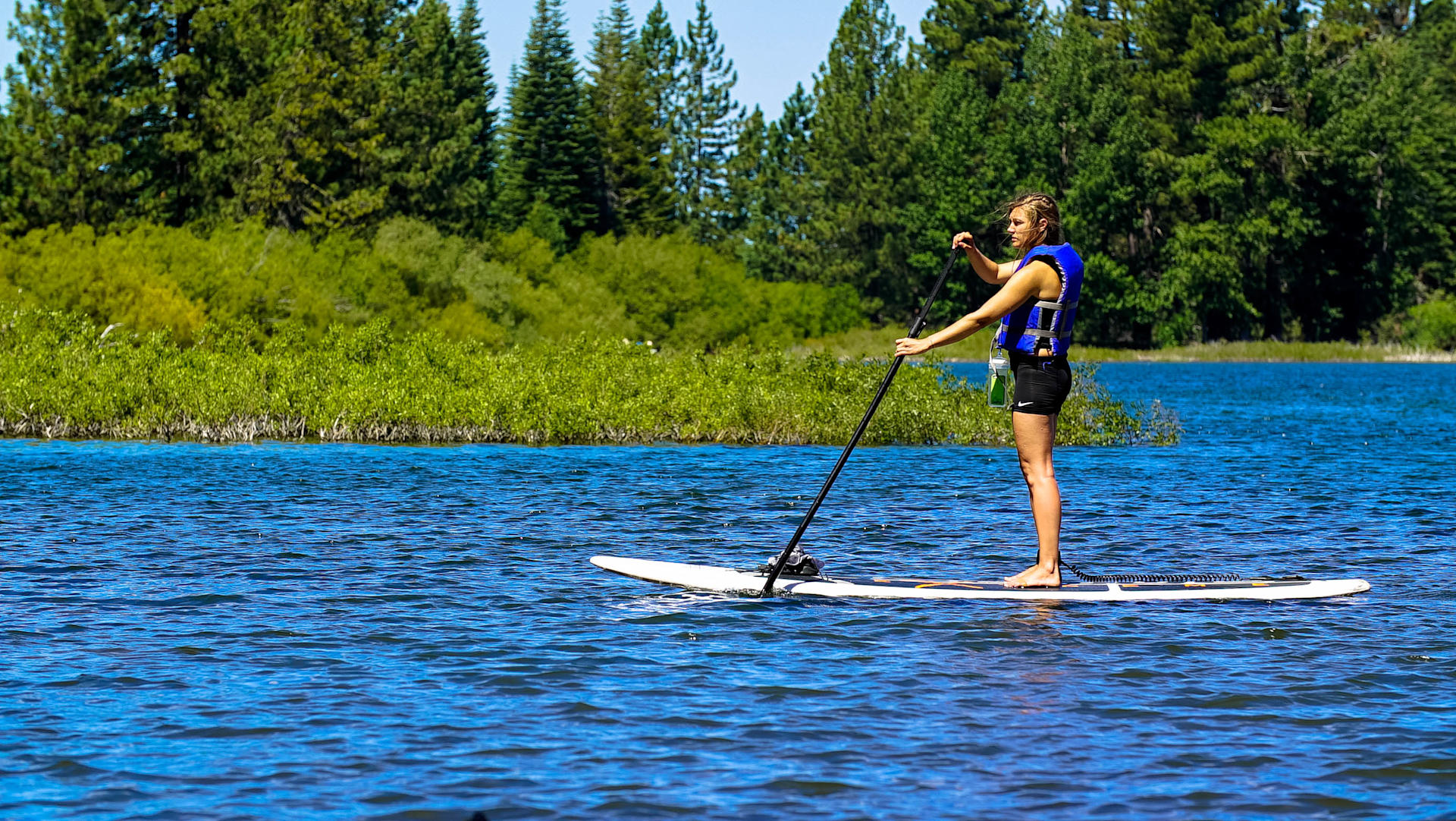 SUP's available to rent in the summer!