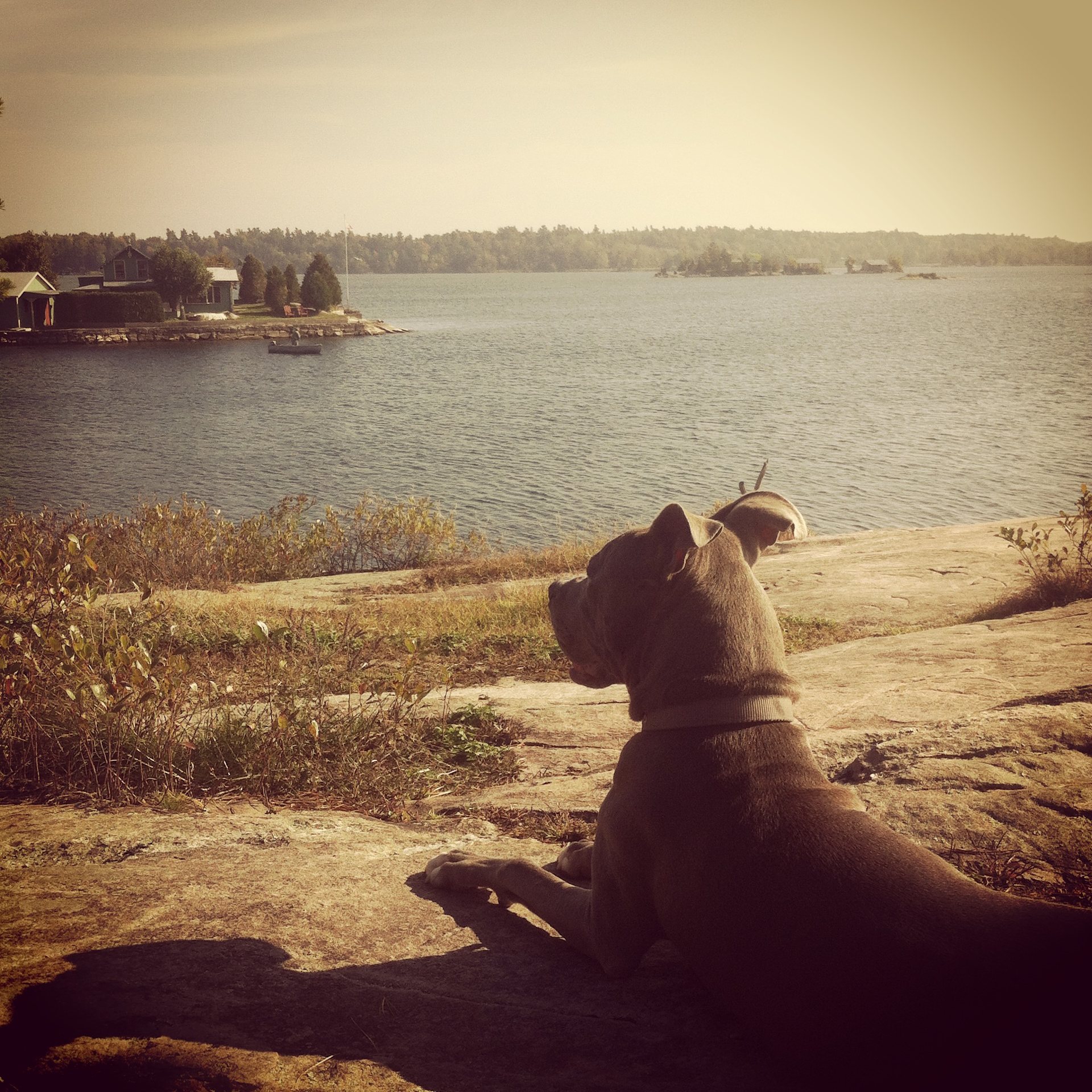 Kring Point State Park
