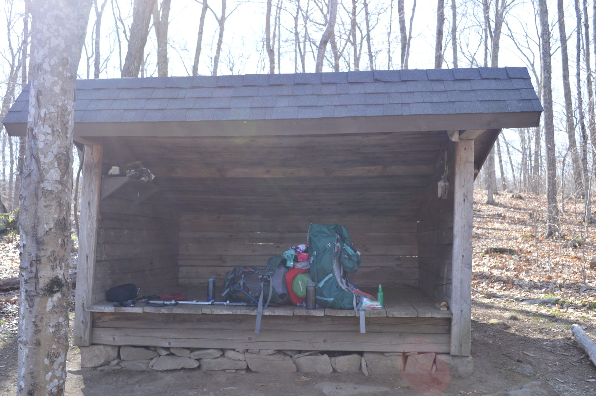 Pachaug State Forest