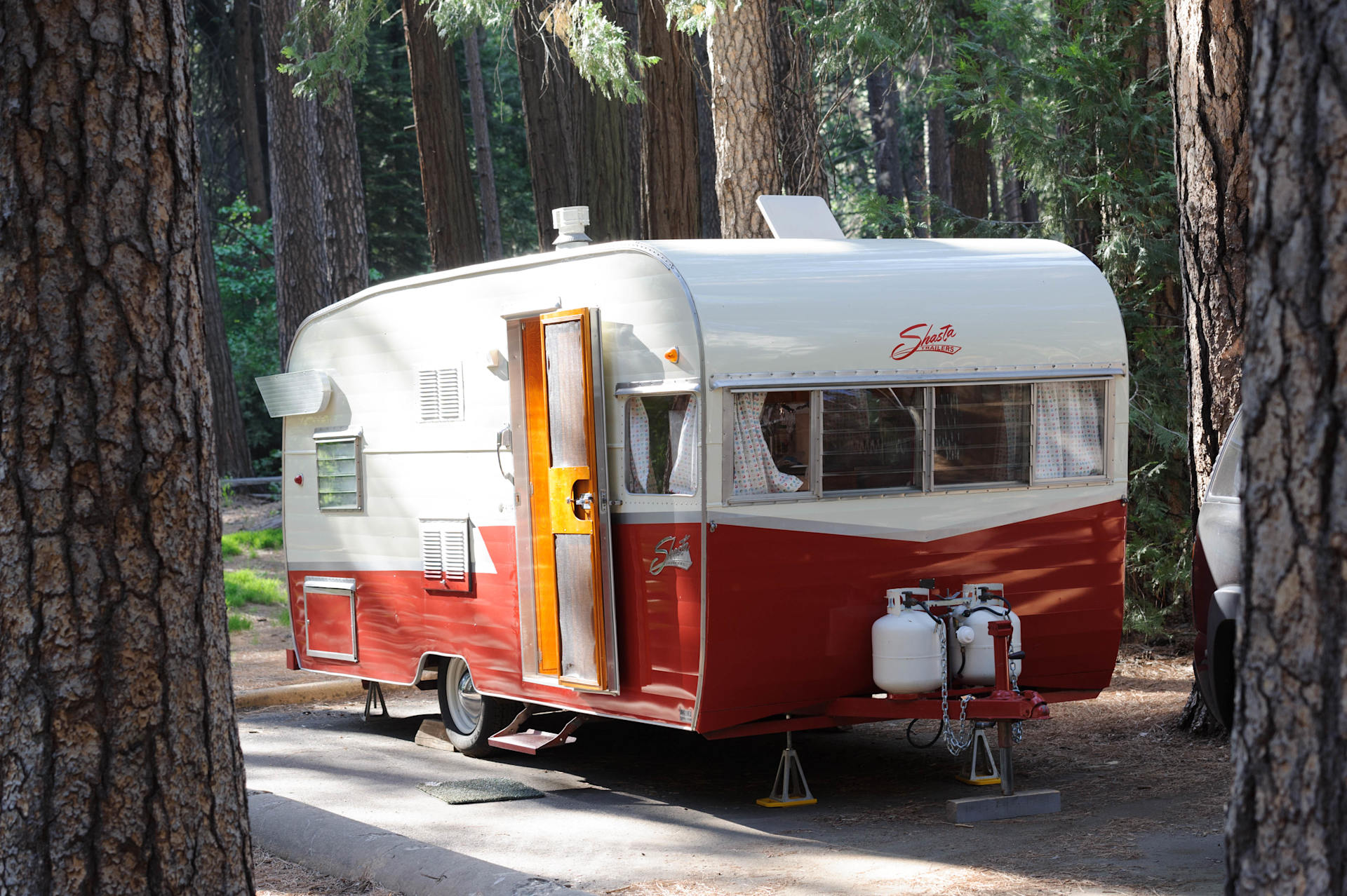 Lower Pines