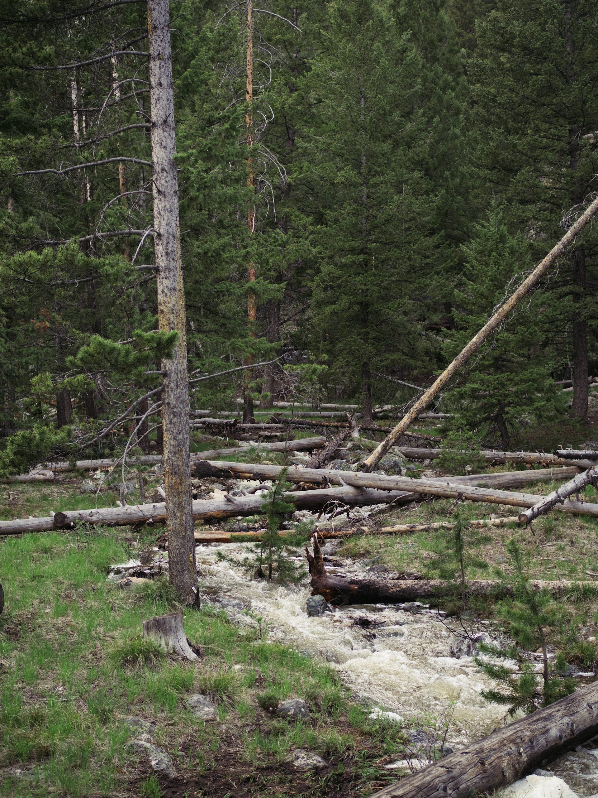 There was a creek nearby, which added some nice ambient noise at night.