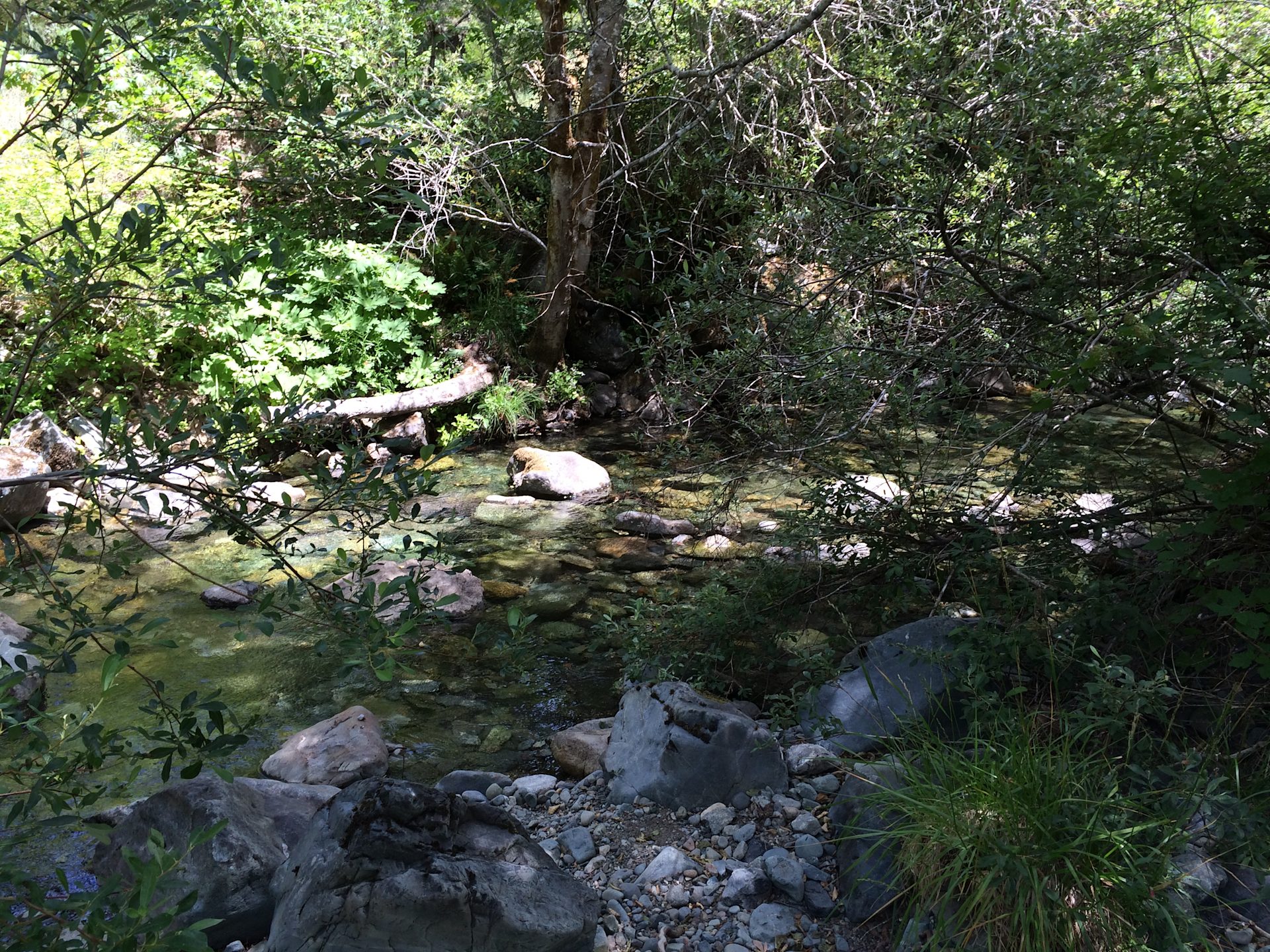 Six Rivers National Forest