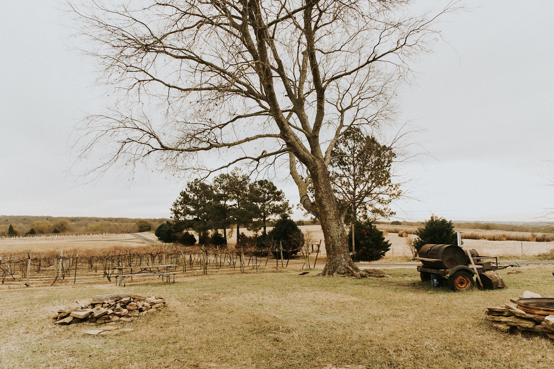 Tara Vineyard & Winery estate