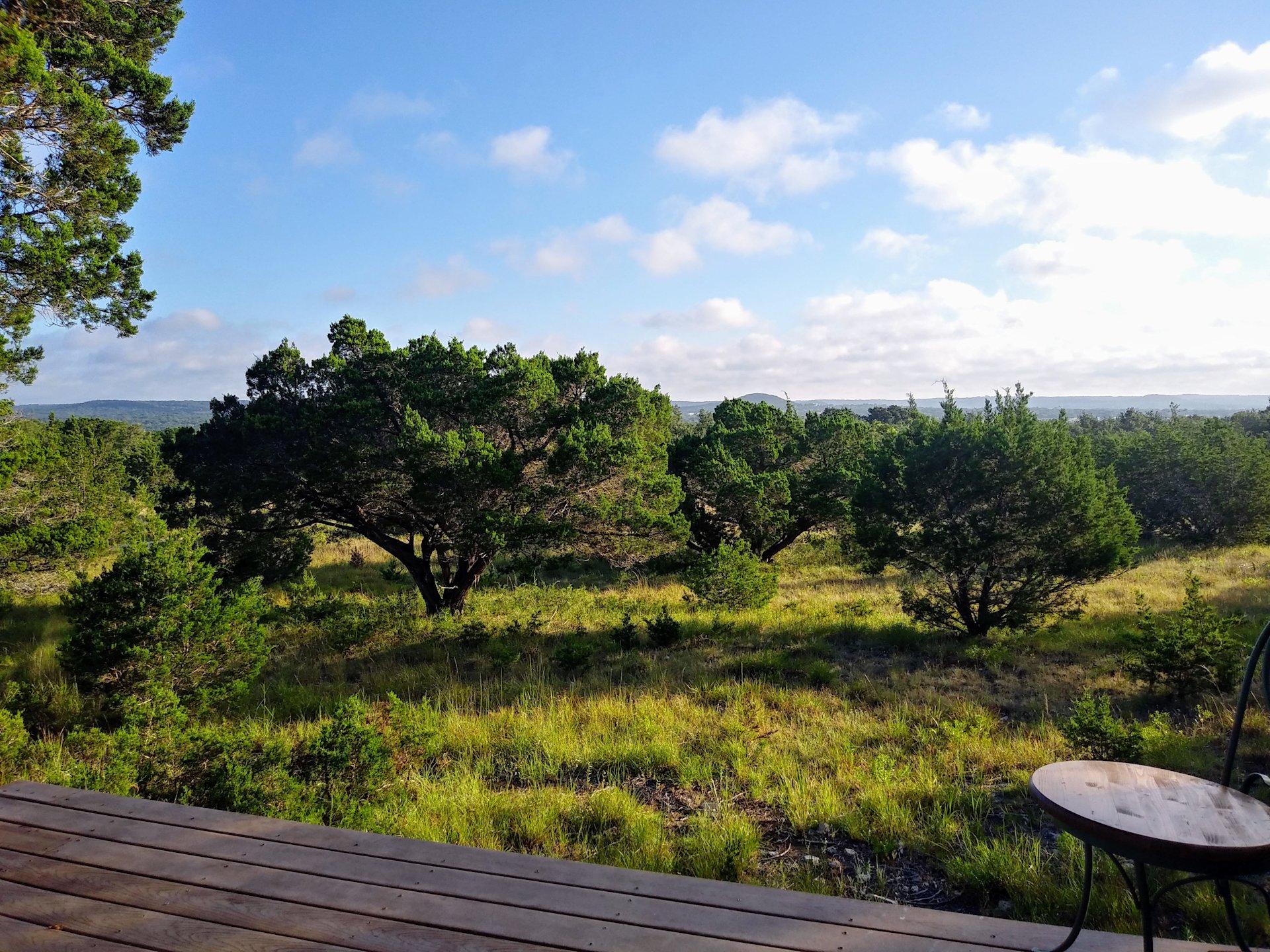 View from the front porch. 