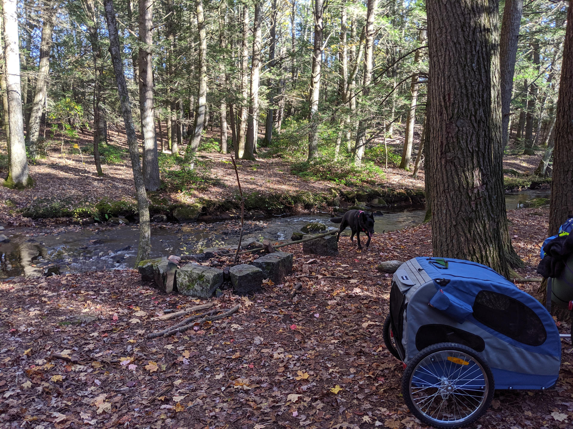 Campsite showing the fire pit next to the brook. 