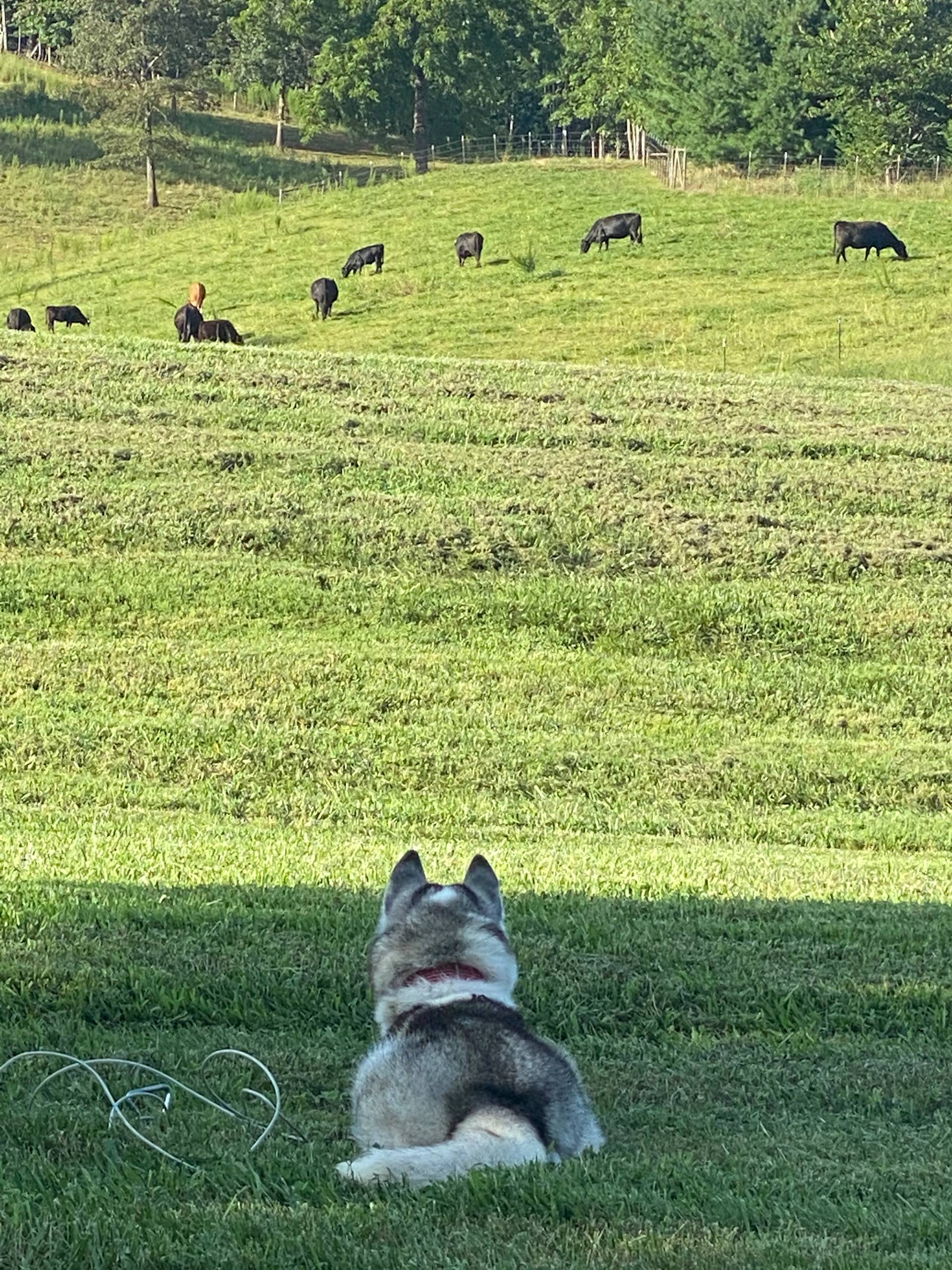 Walnut Hollow Ranch