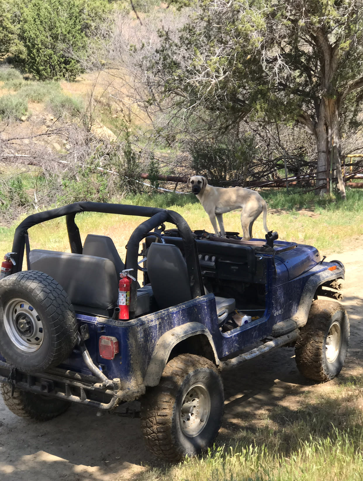 7V RANCH