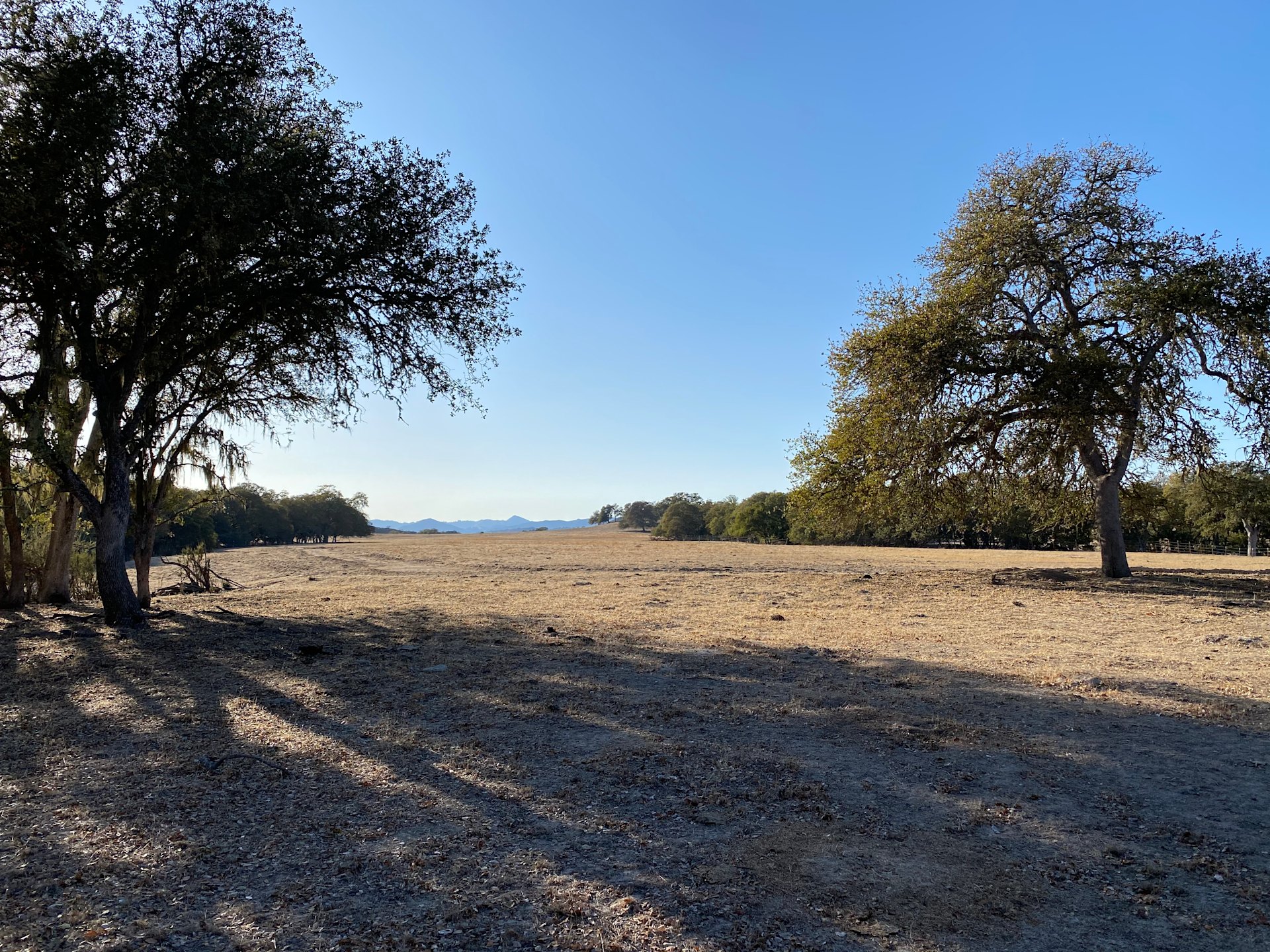 Smith Ranch