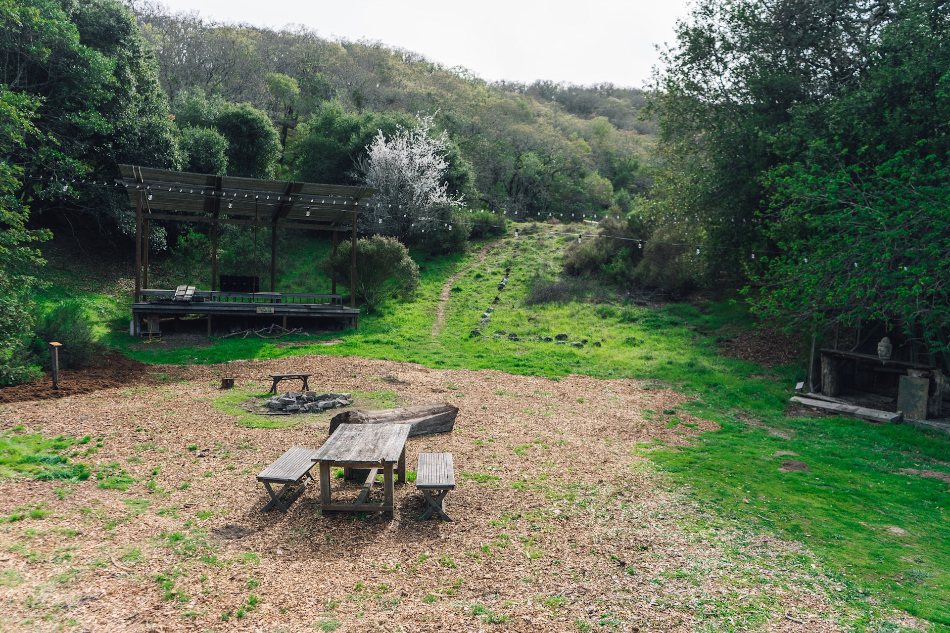 Super chill campsite vibes.