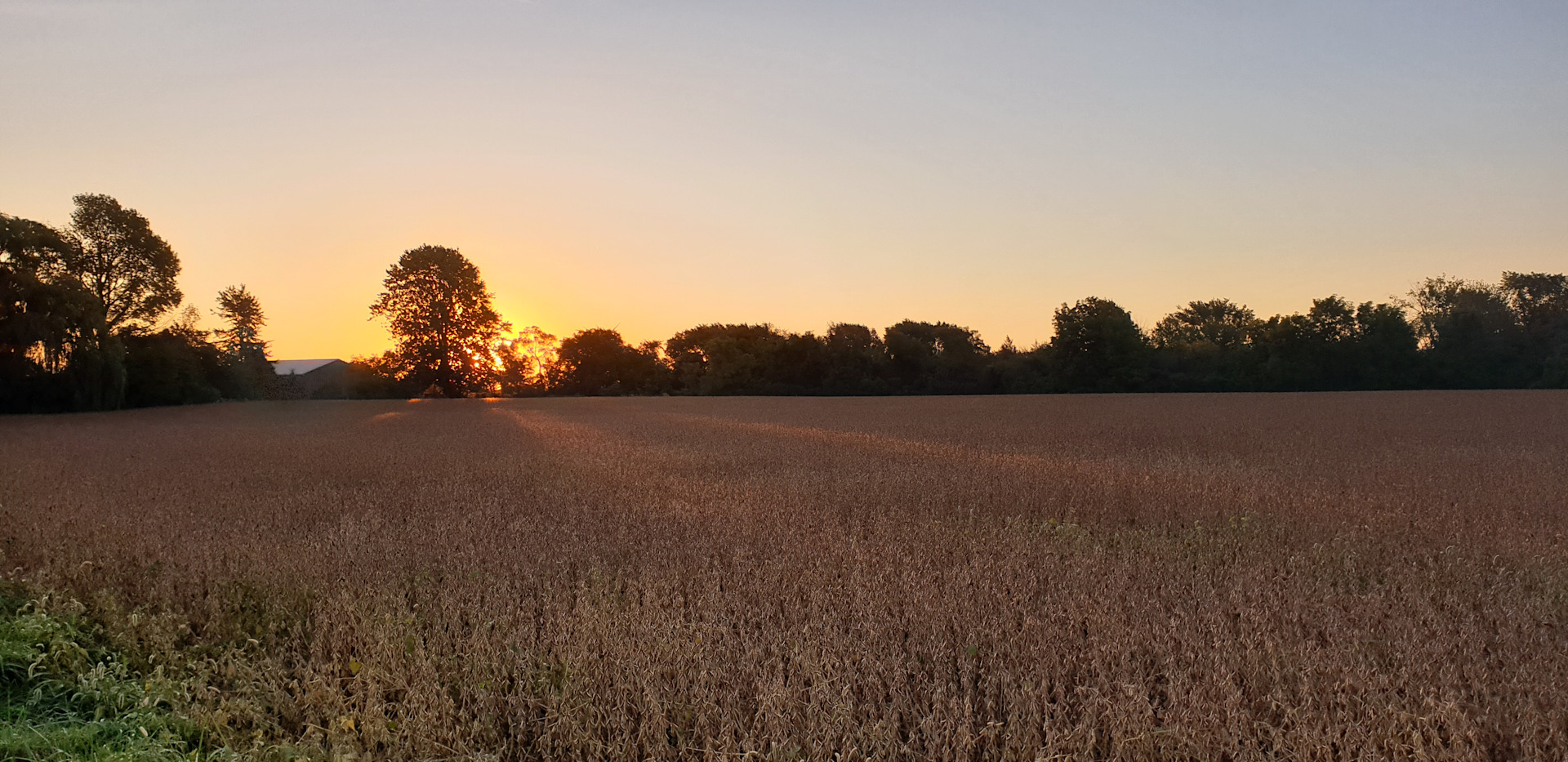 Farm Camp & Art Retreat