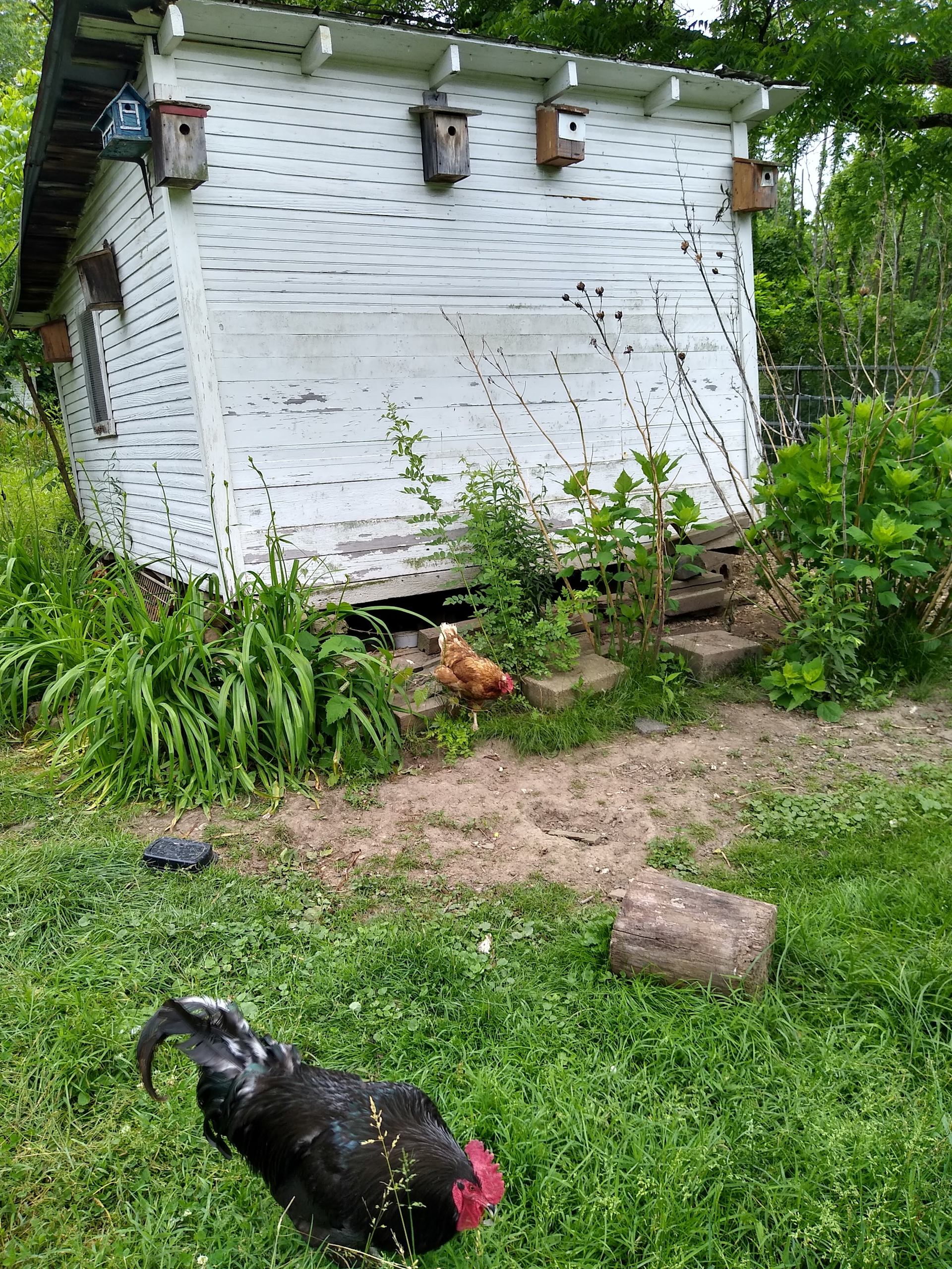 Lil' slice o paradise (Homestead).