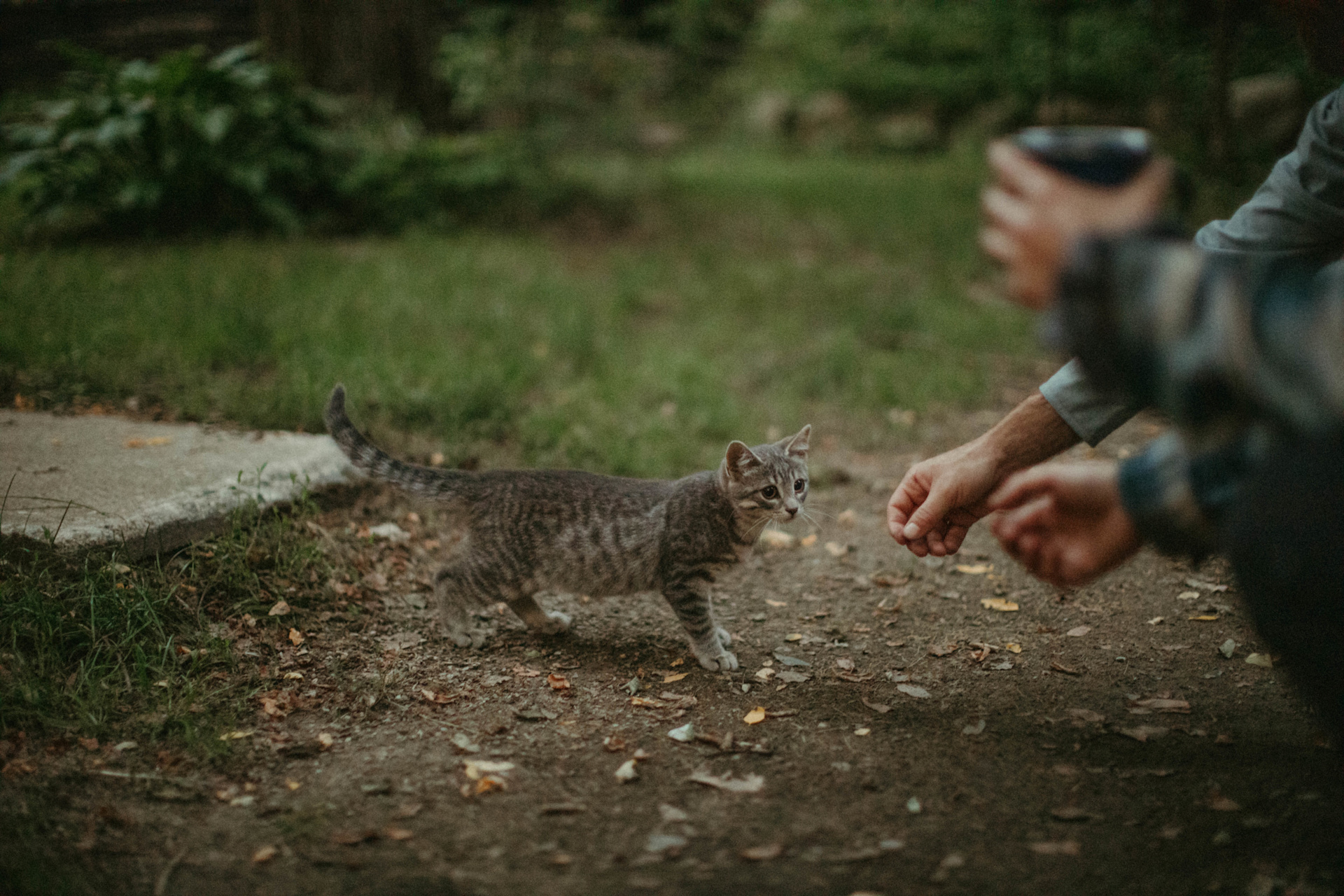 The animals on the property are so friendly and very very cute. Kind of hard to resist saying hello to.