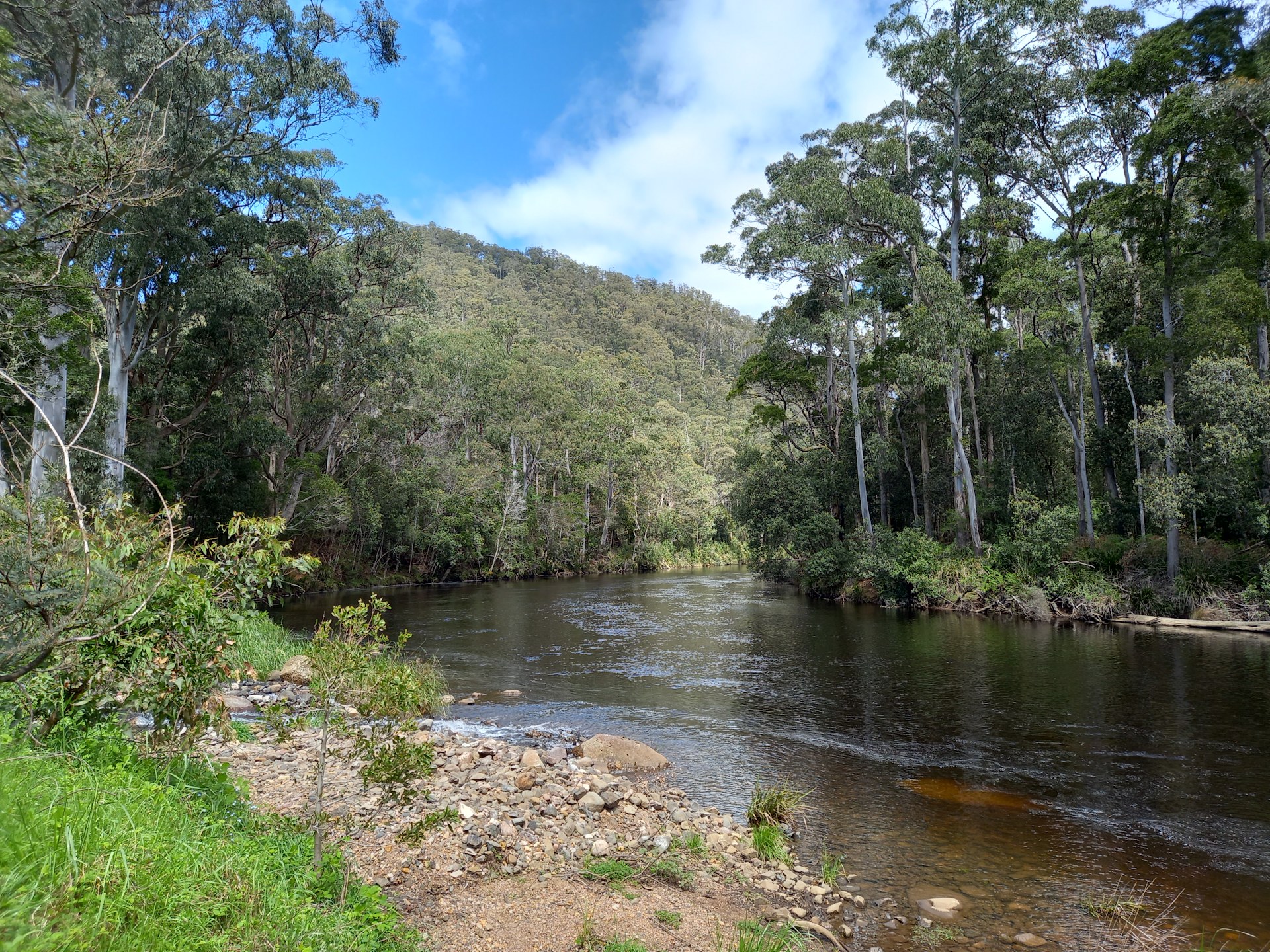 Rivers Edge