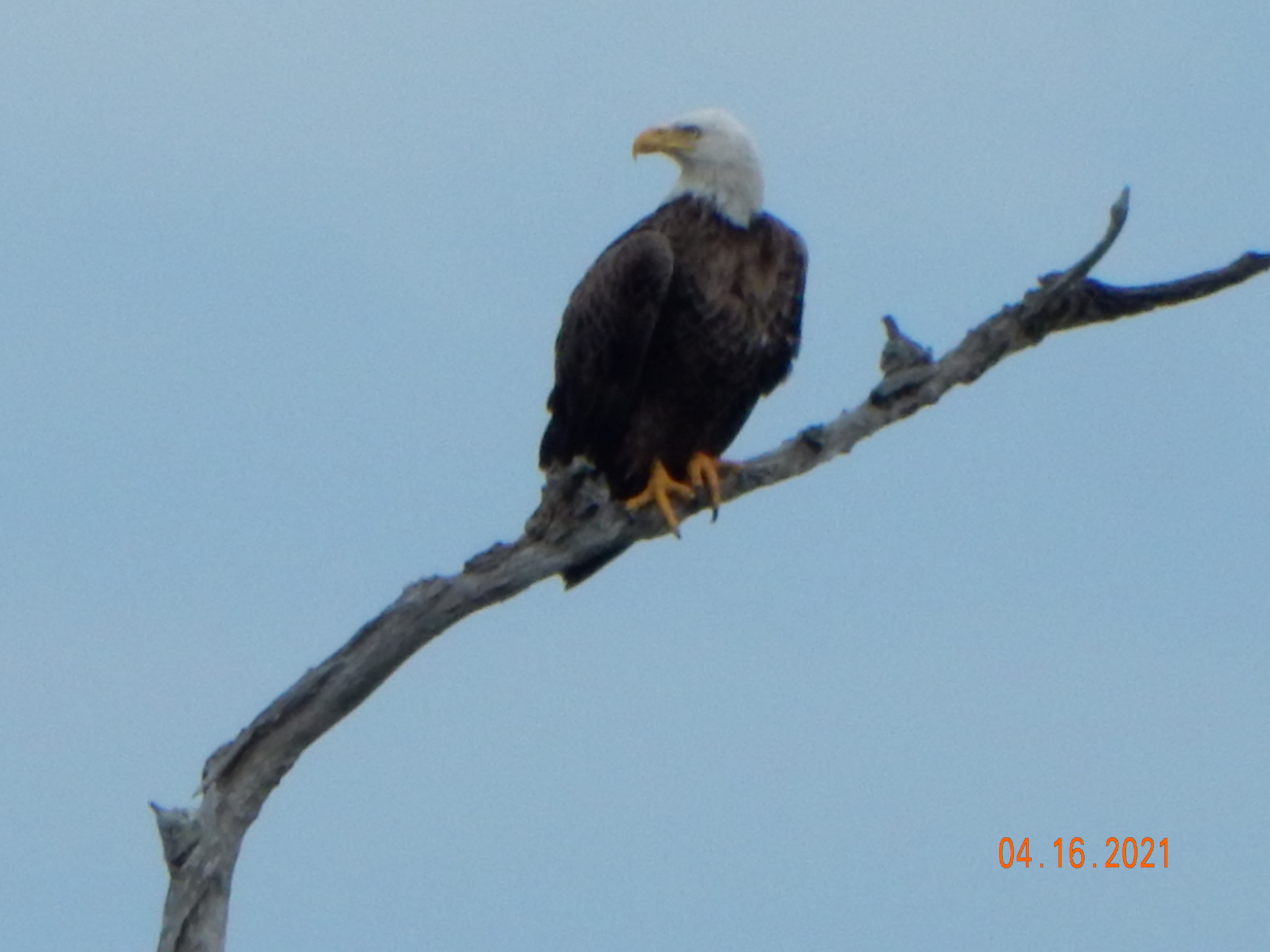 Lots of wildlife to see. 