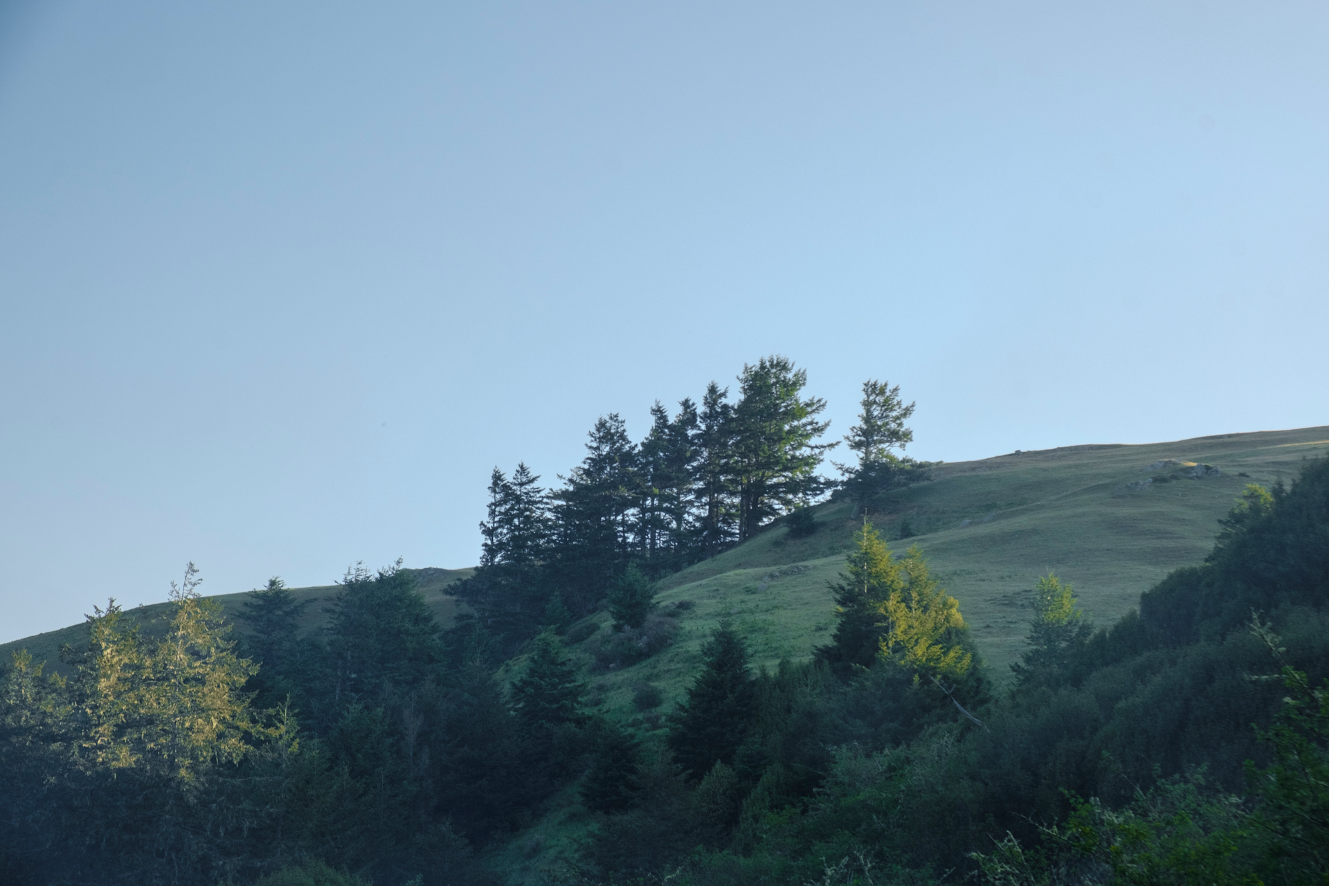 view above the campground