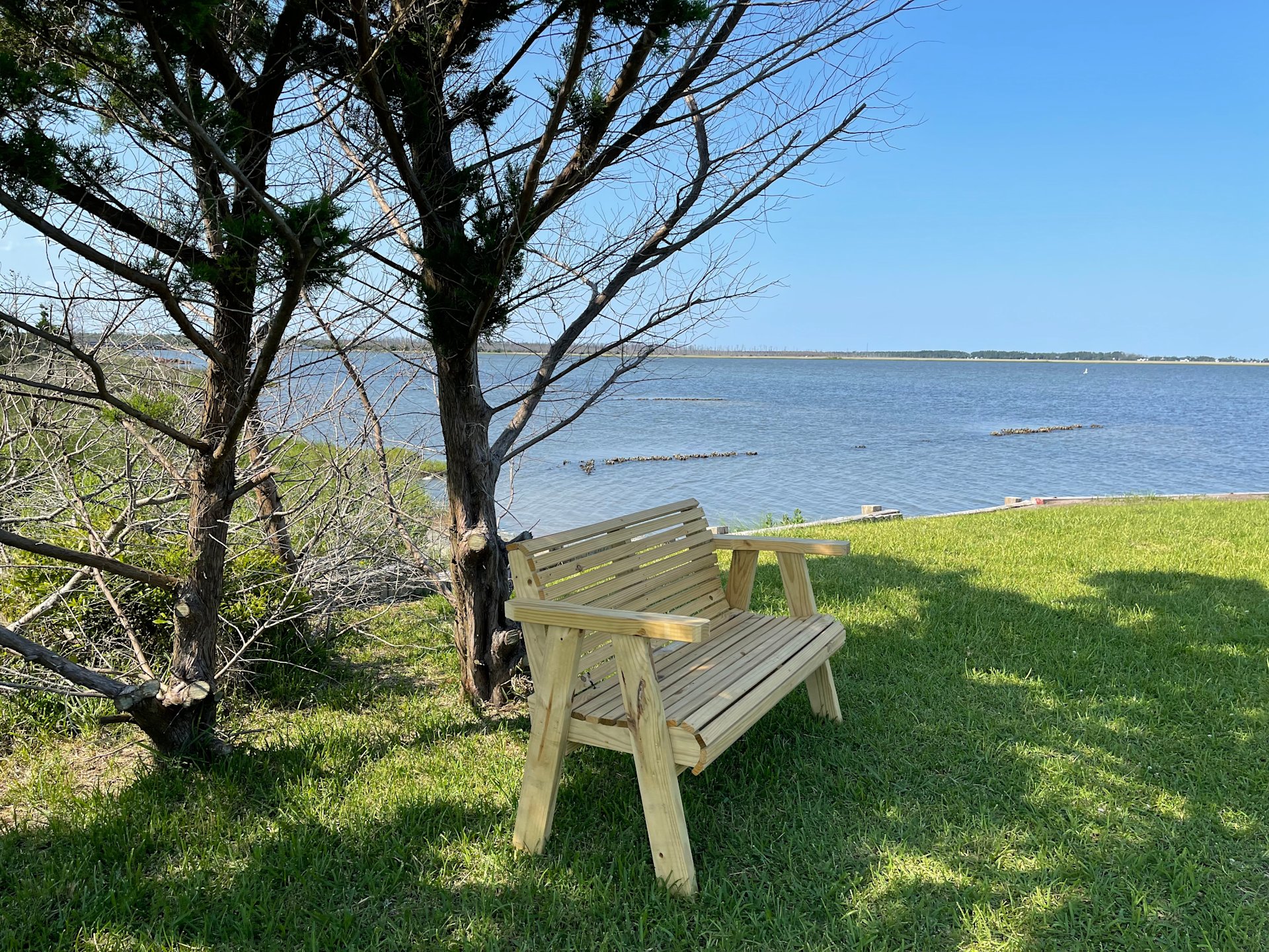 Escape near Cape Lookout