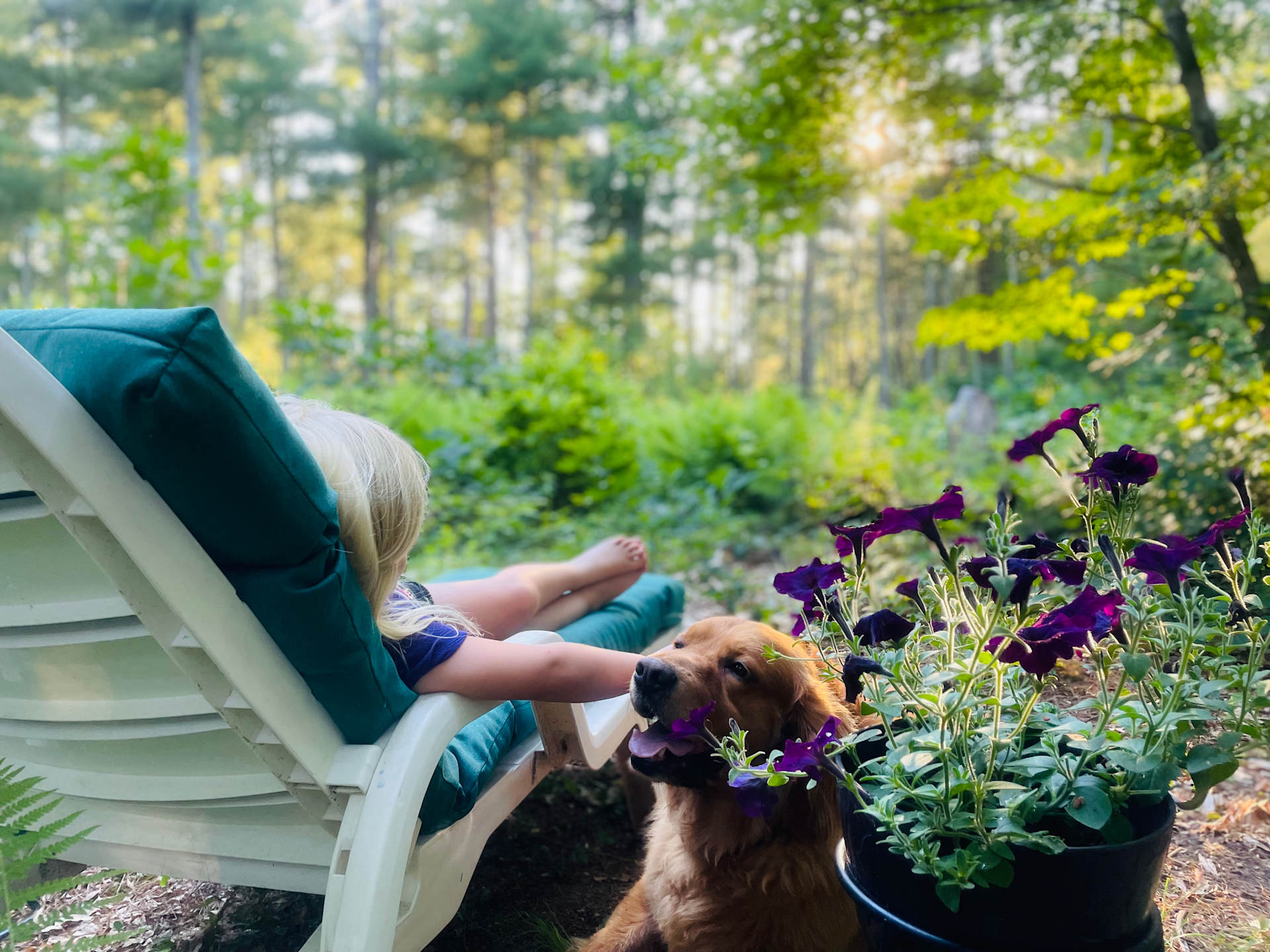 Cozy Wooded Nook