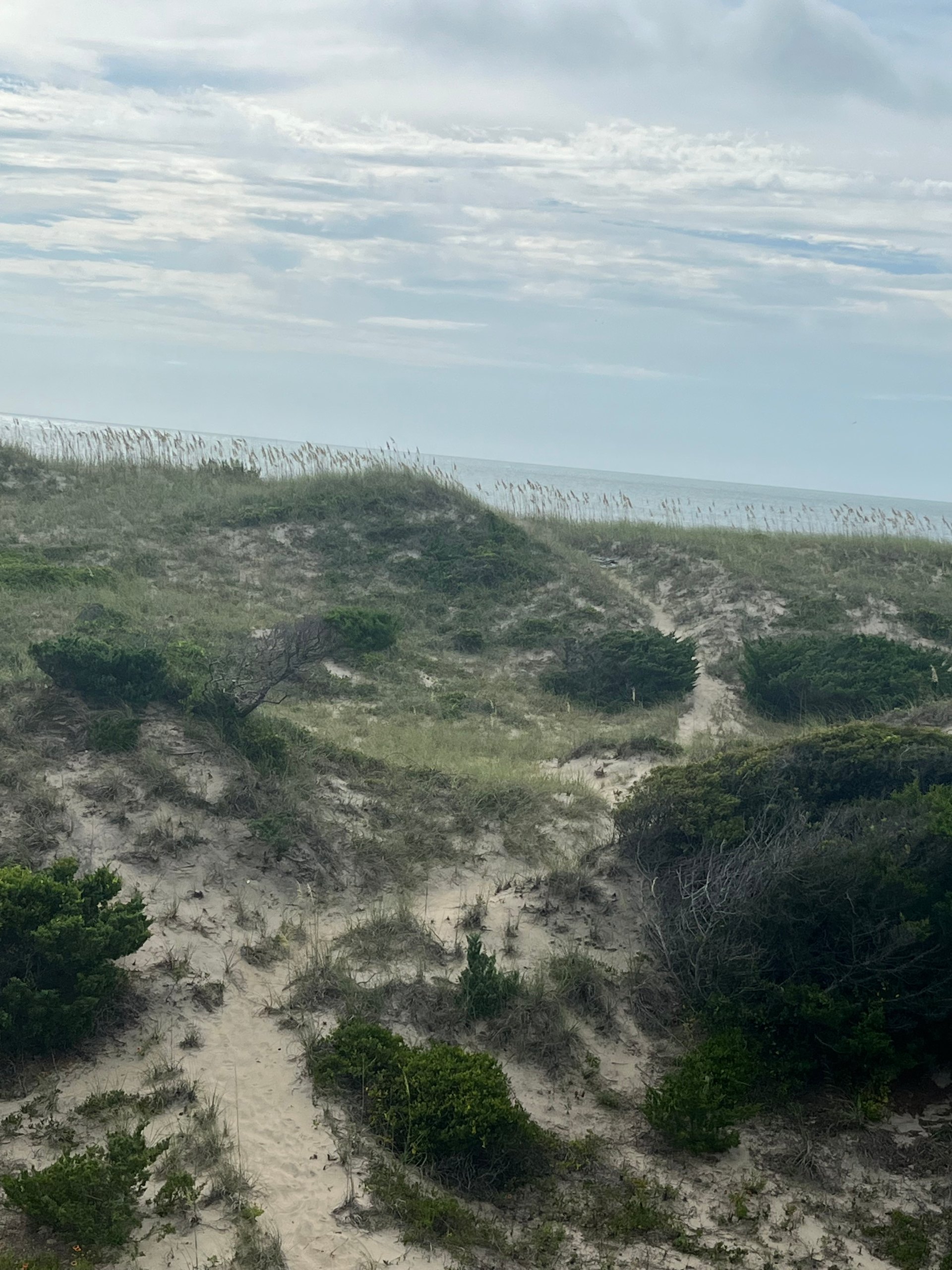 walkway to beach