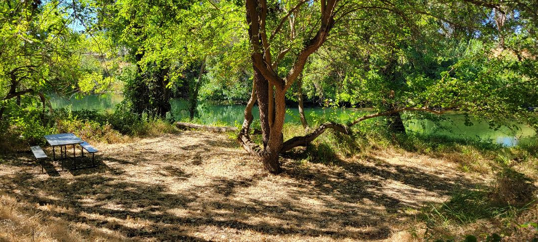 Site 2
