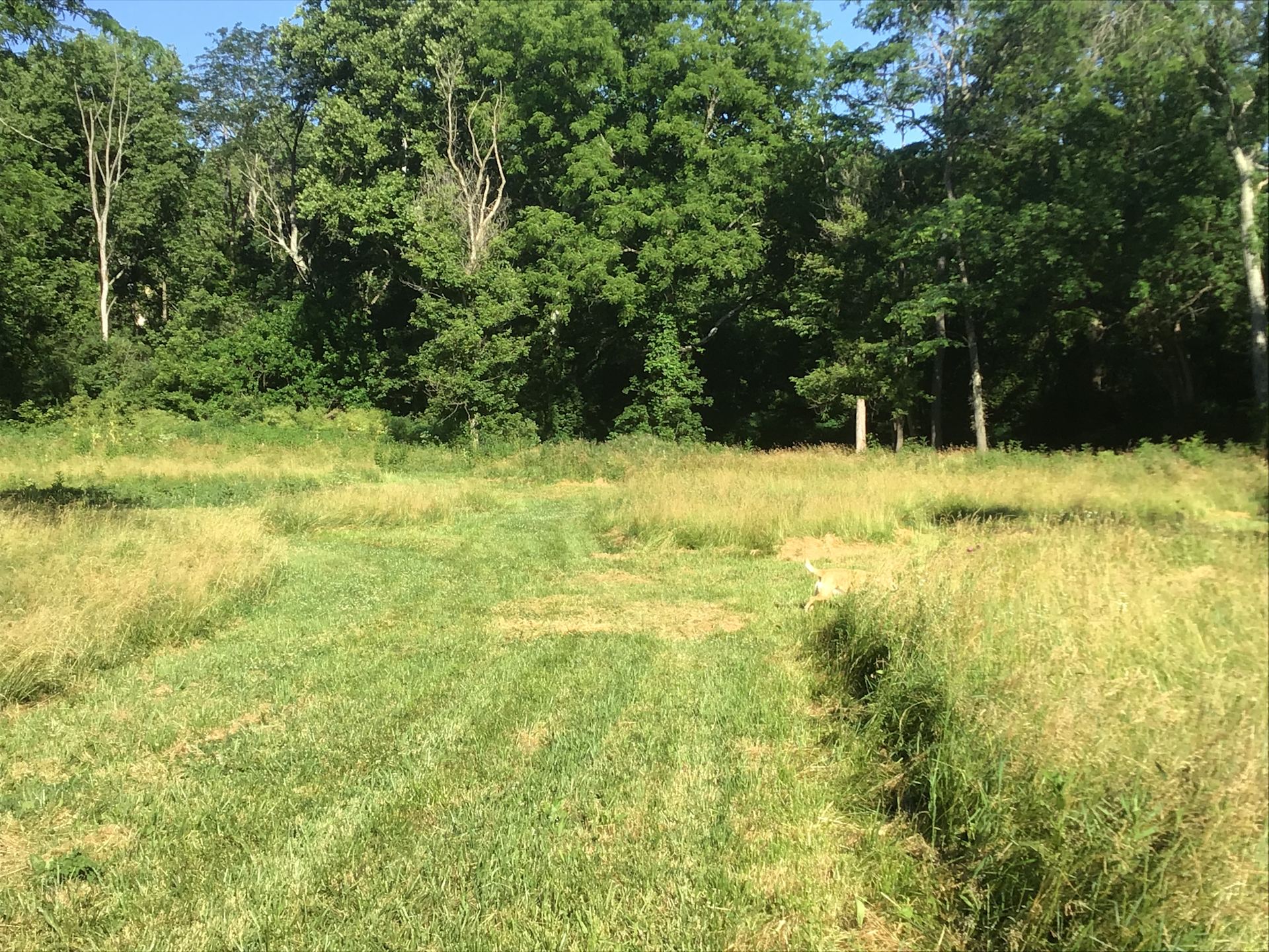Little Darby Outdoors