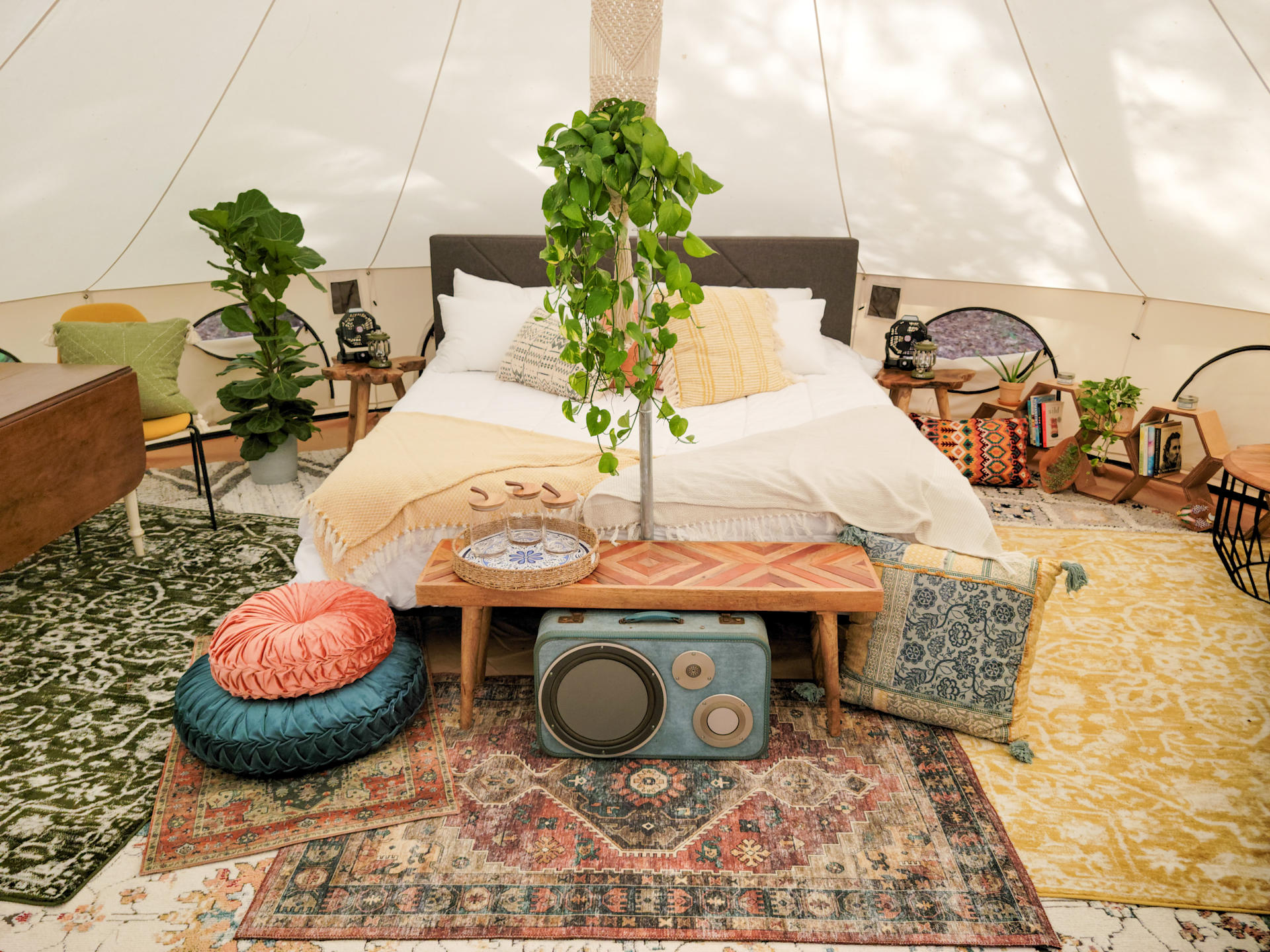 The Fern Getaway