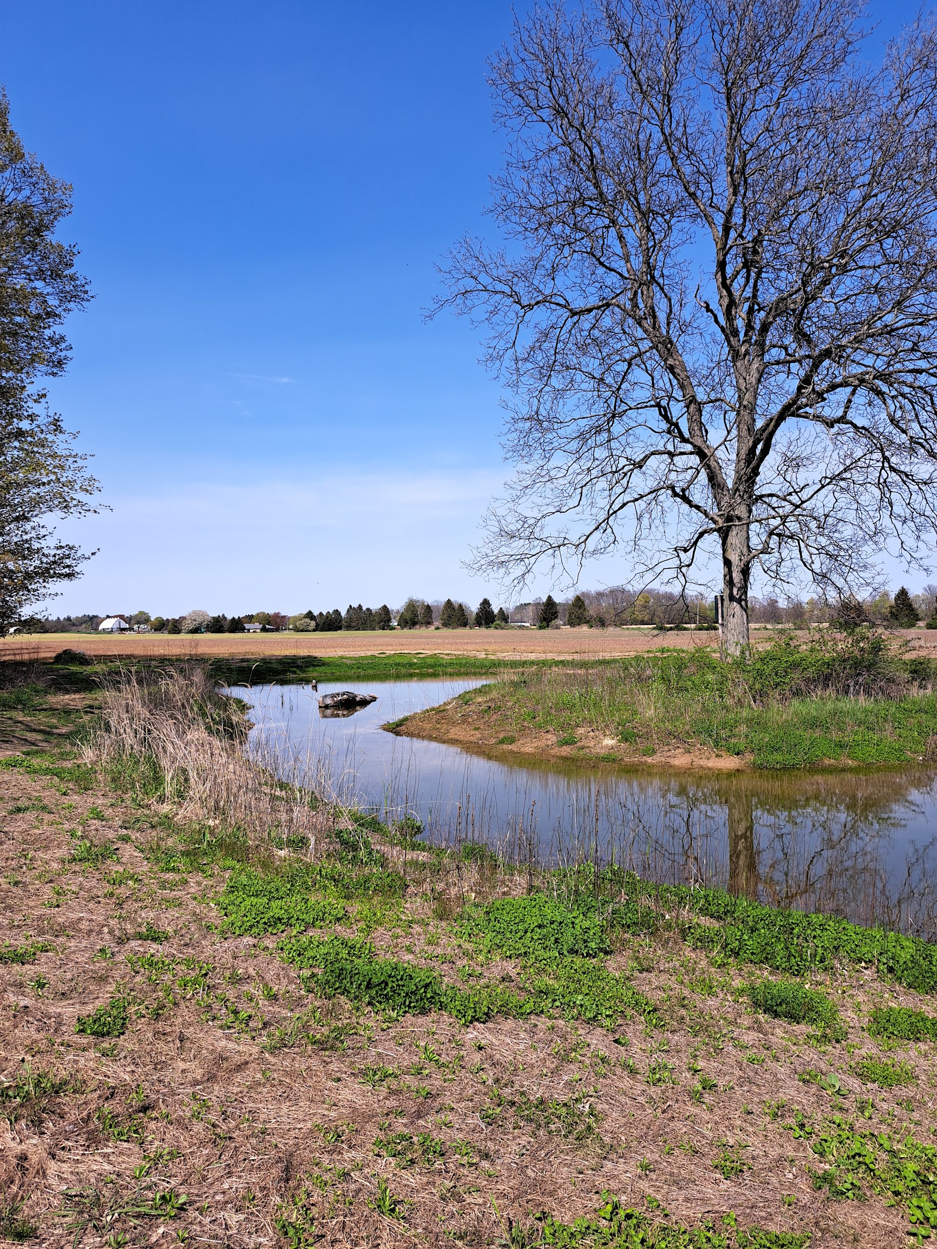 Howeholm Farm