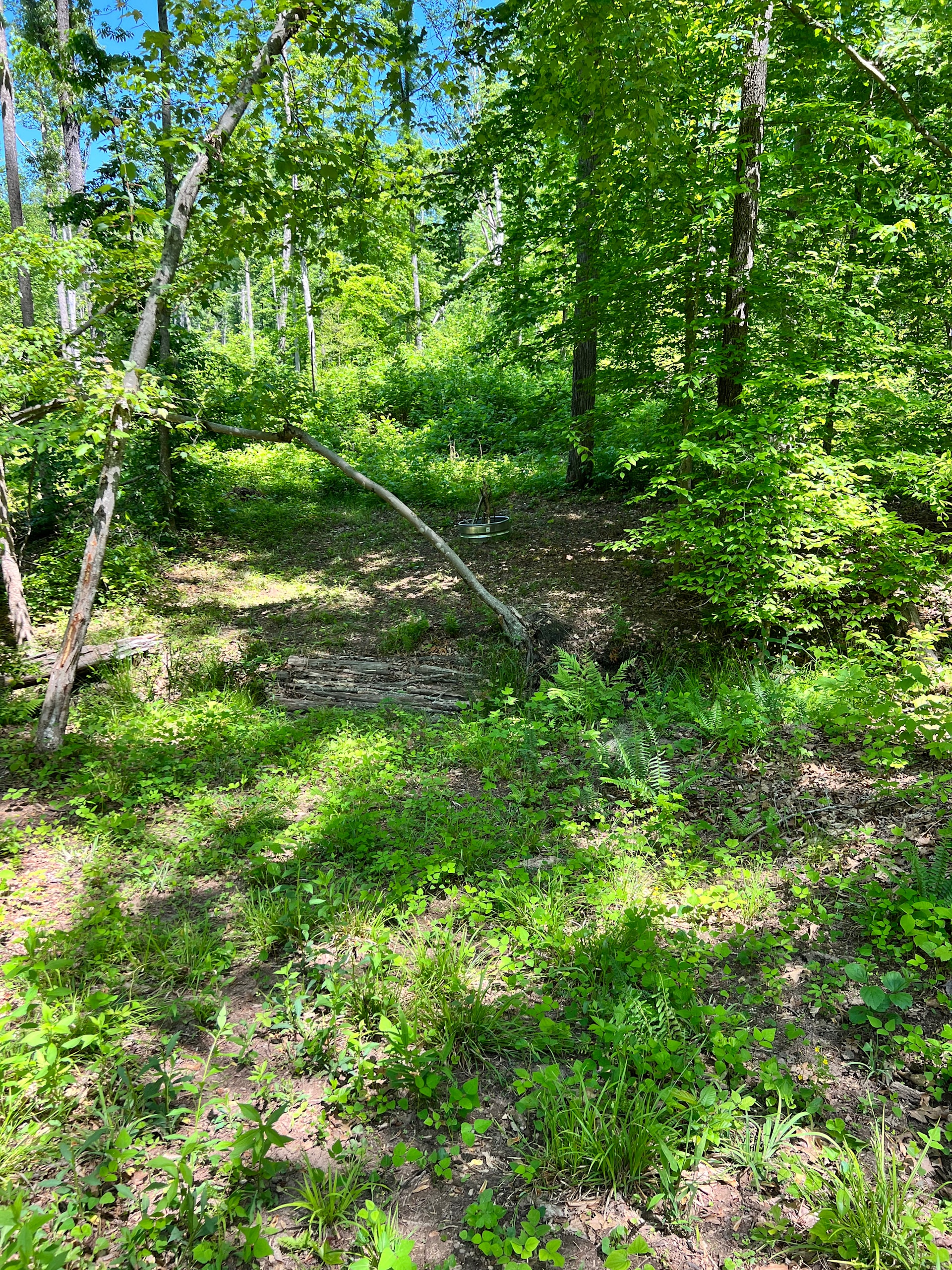 Fork Creek Acres