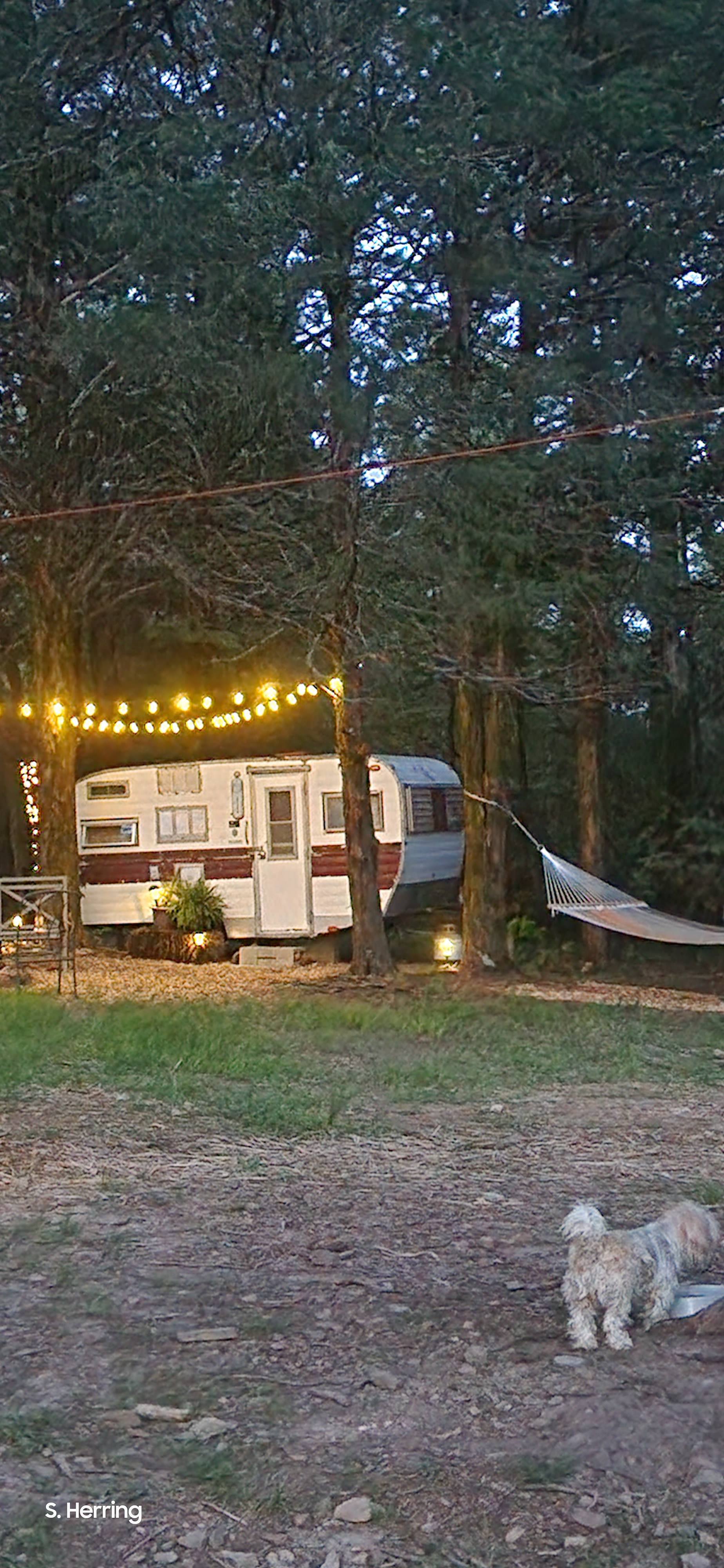 Barnyard Camping Experience