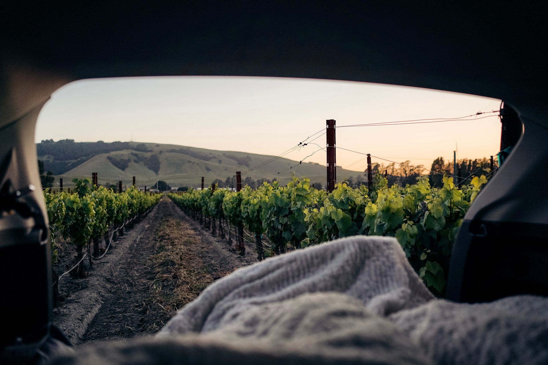 relaxing in our car on the vinyard