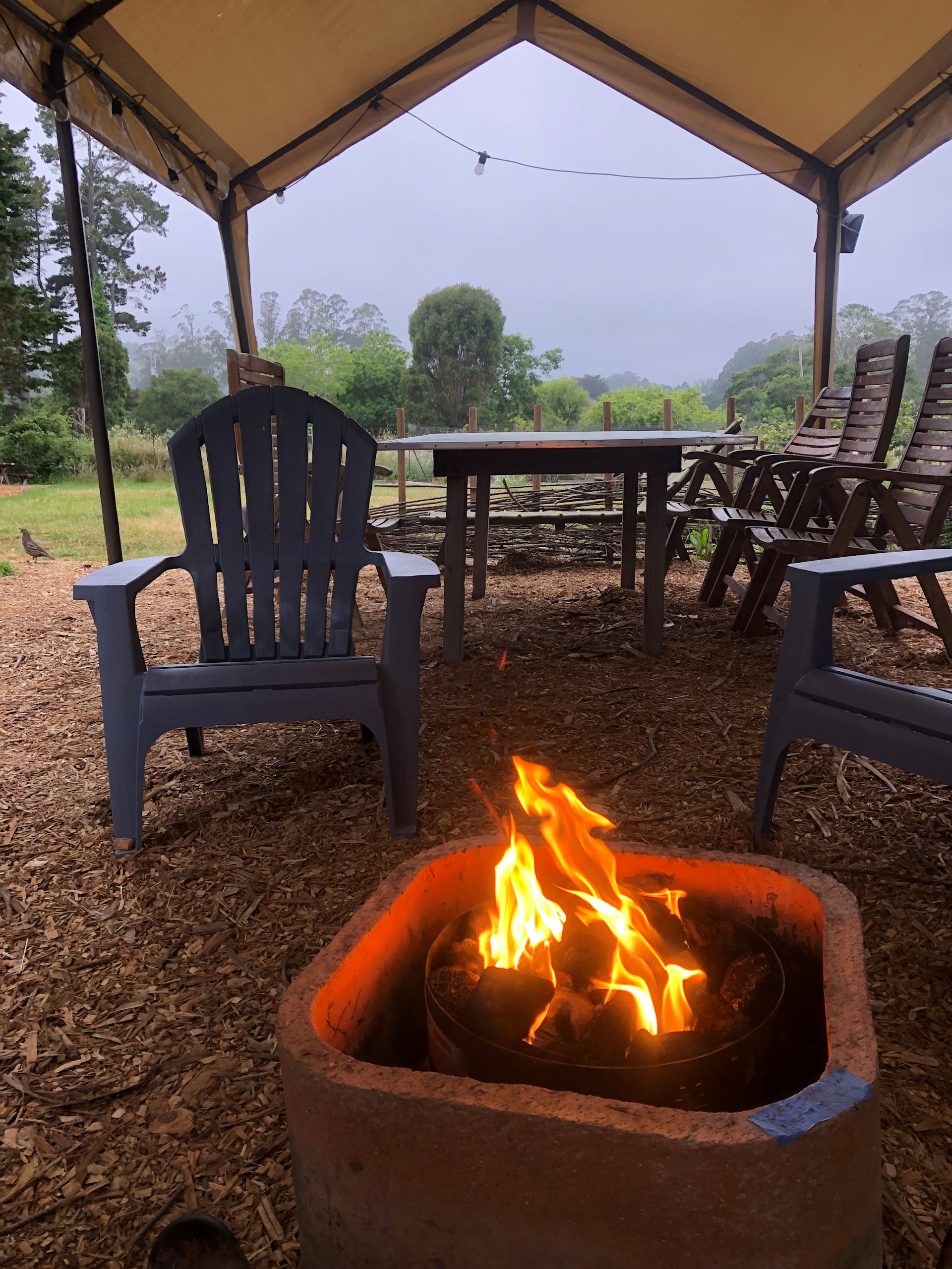 Meadow camping in Bolinas