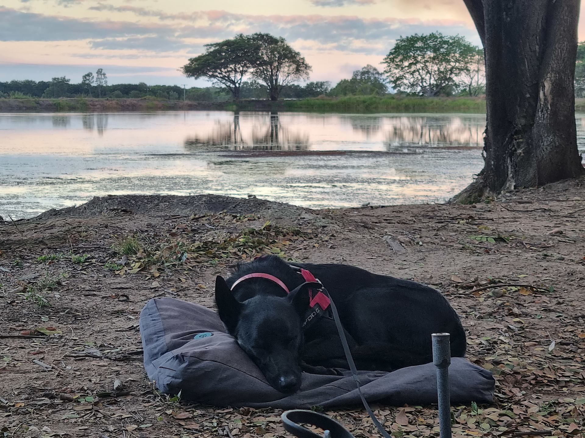 Mount Surround Campground