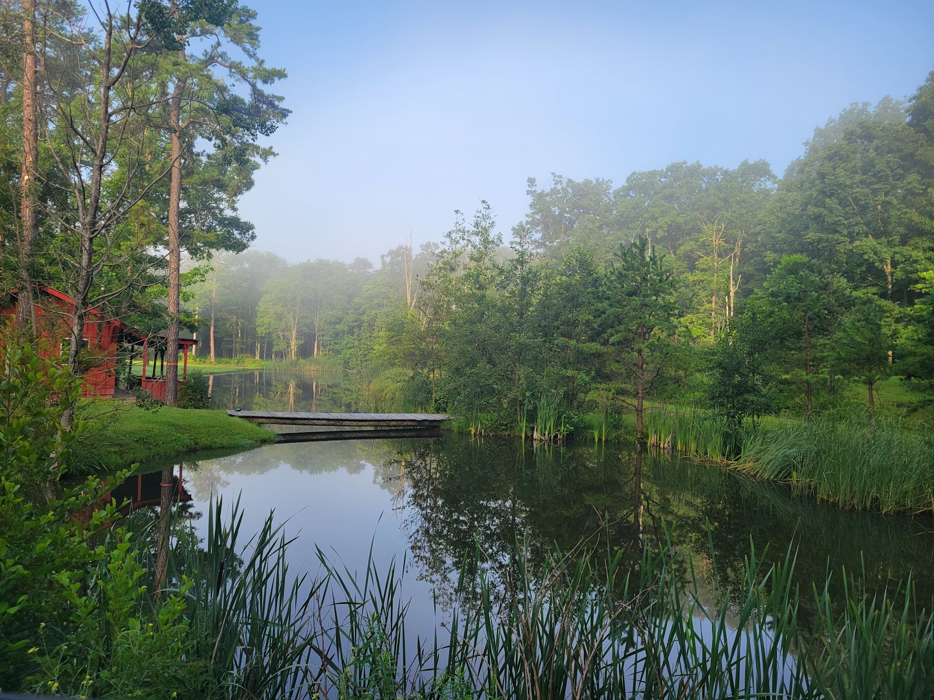 Mountain Springs Wellness