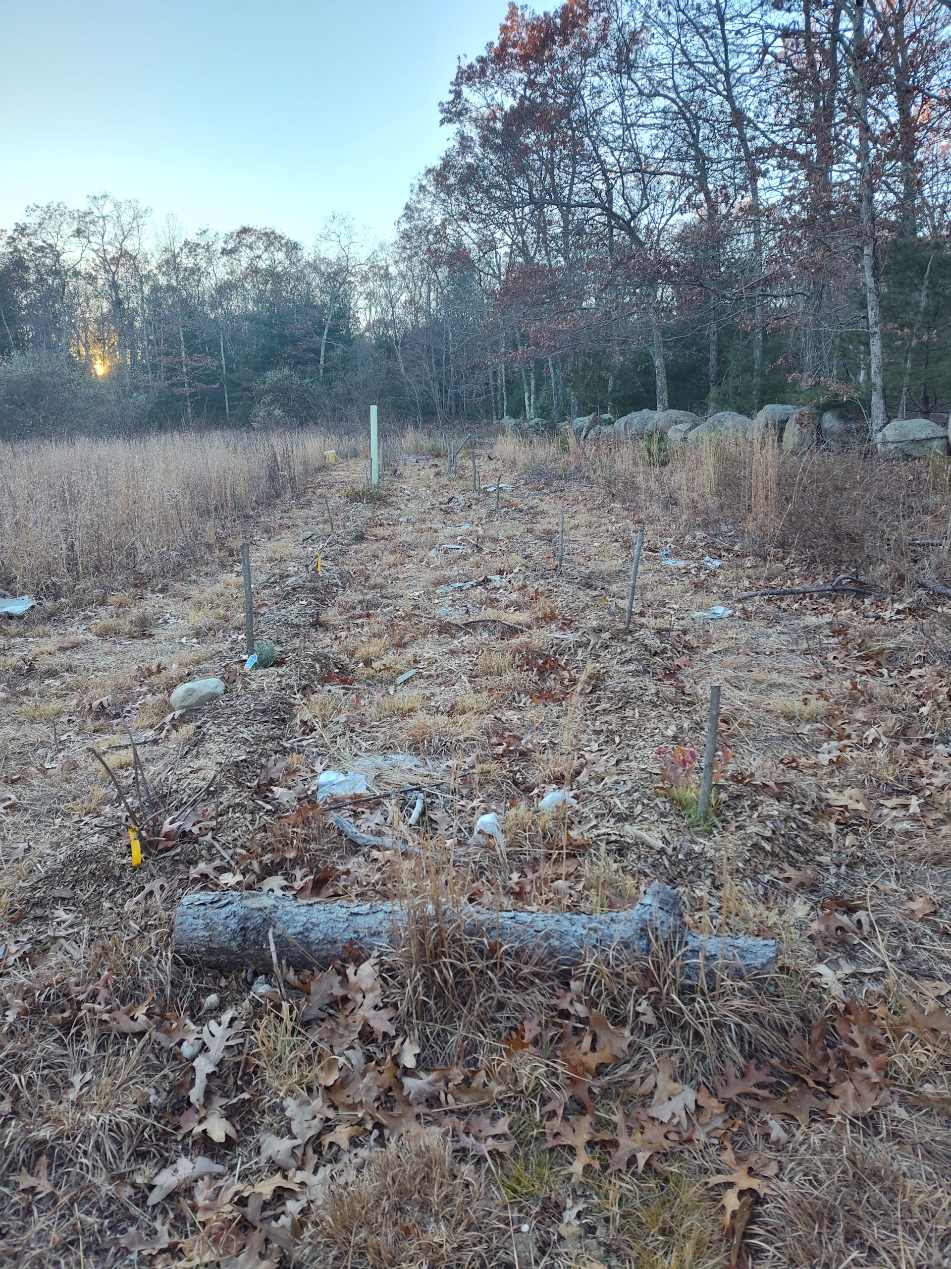 Leyden’s Land Sanctuary