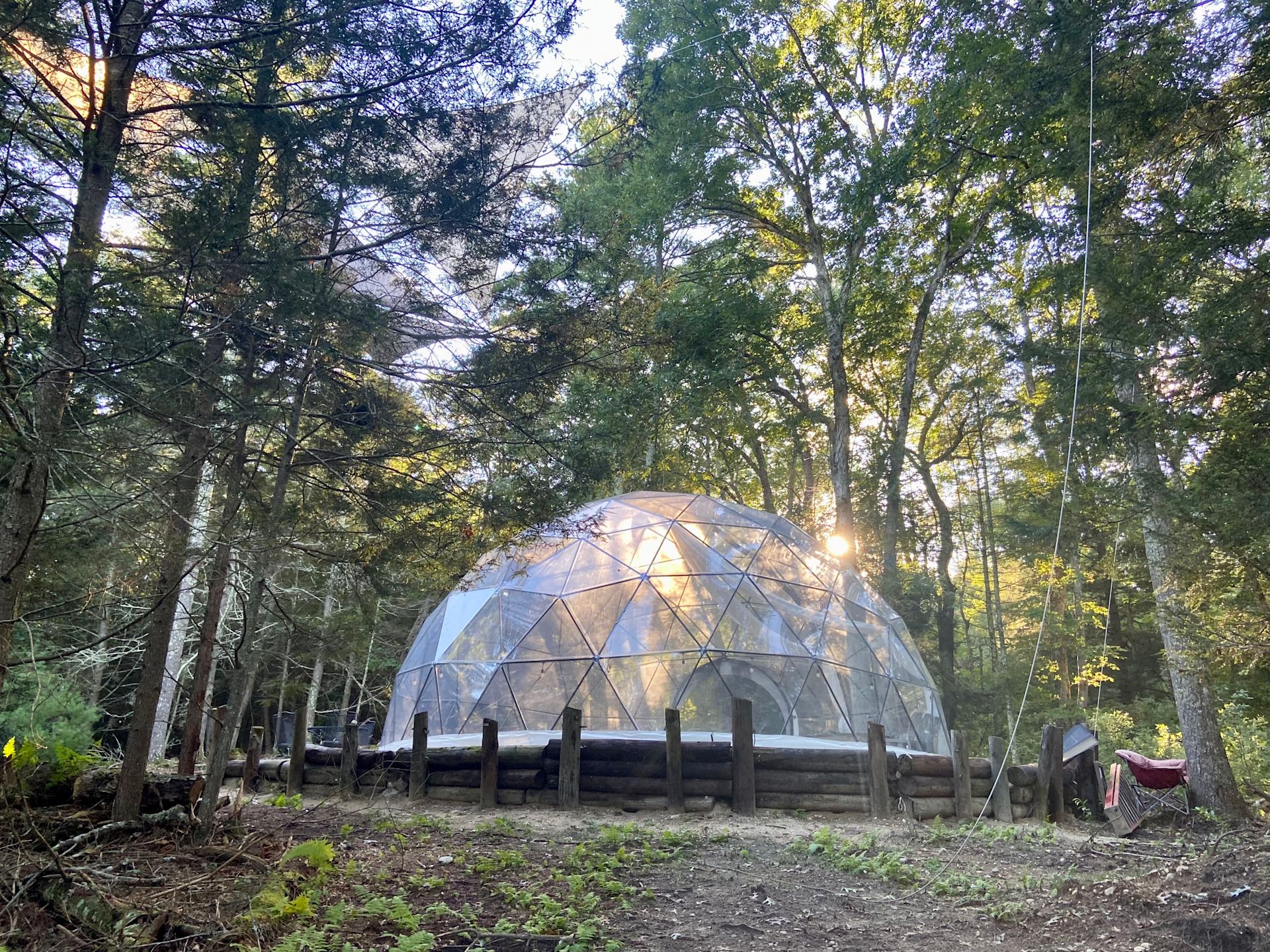 Glamping with the Wild Horses