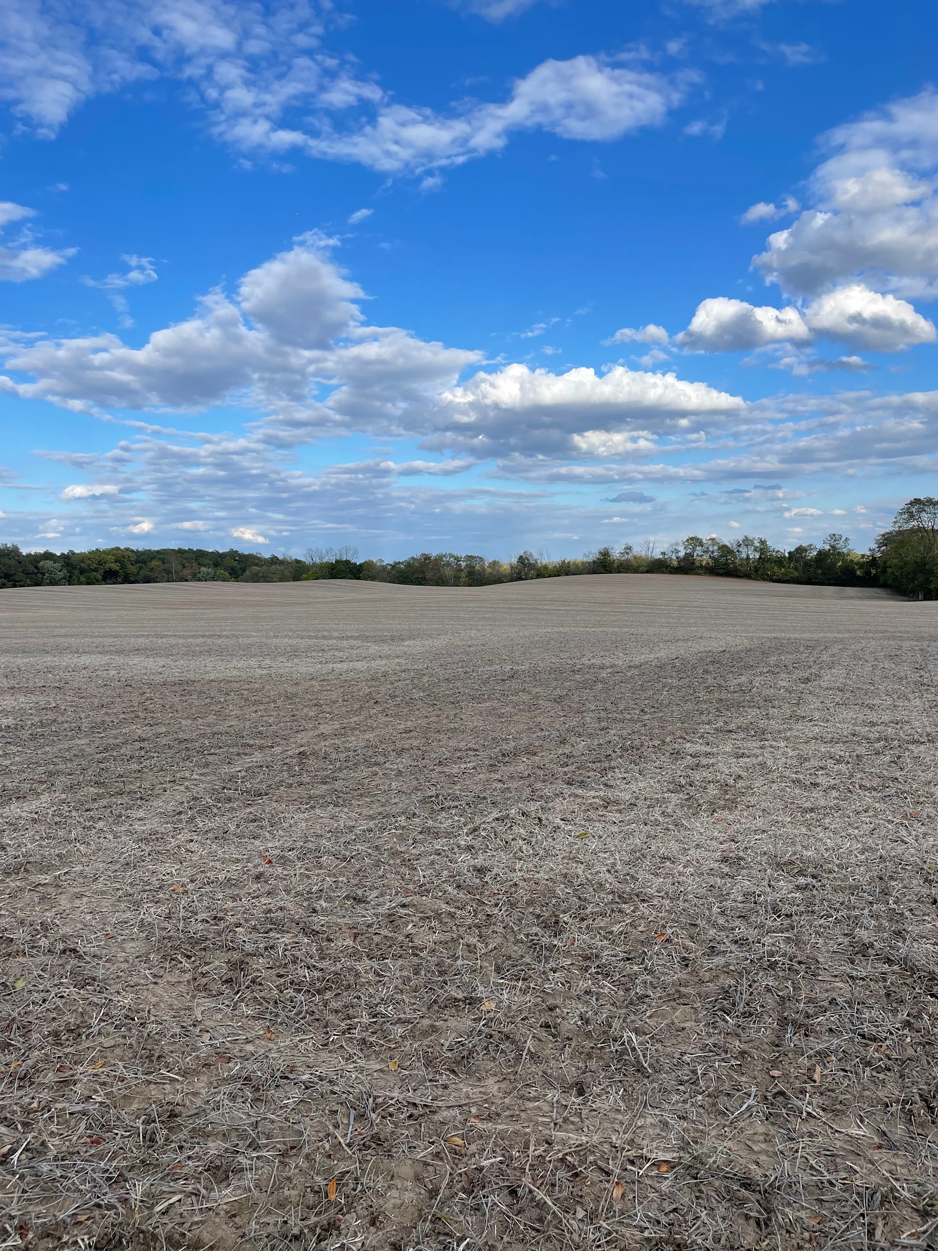 Rolling Hills Farm And Stables