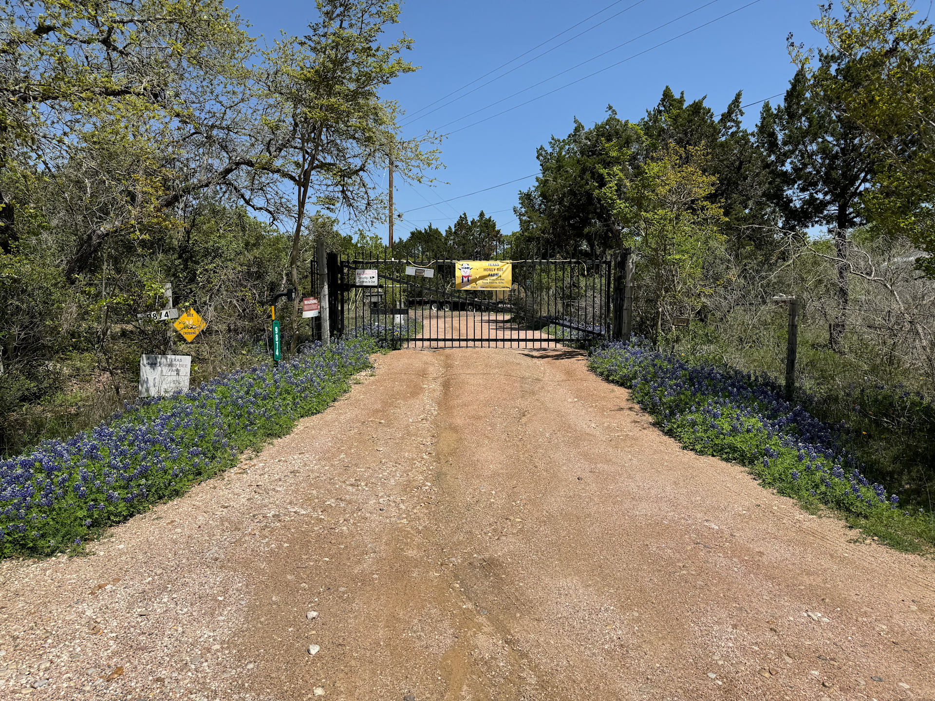 Bee Friendly Austin: Honey Bee Farm