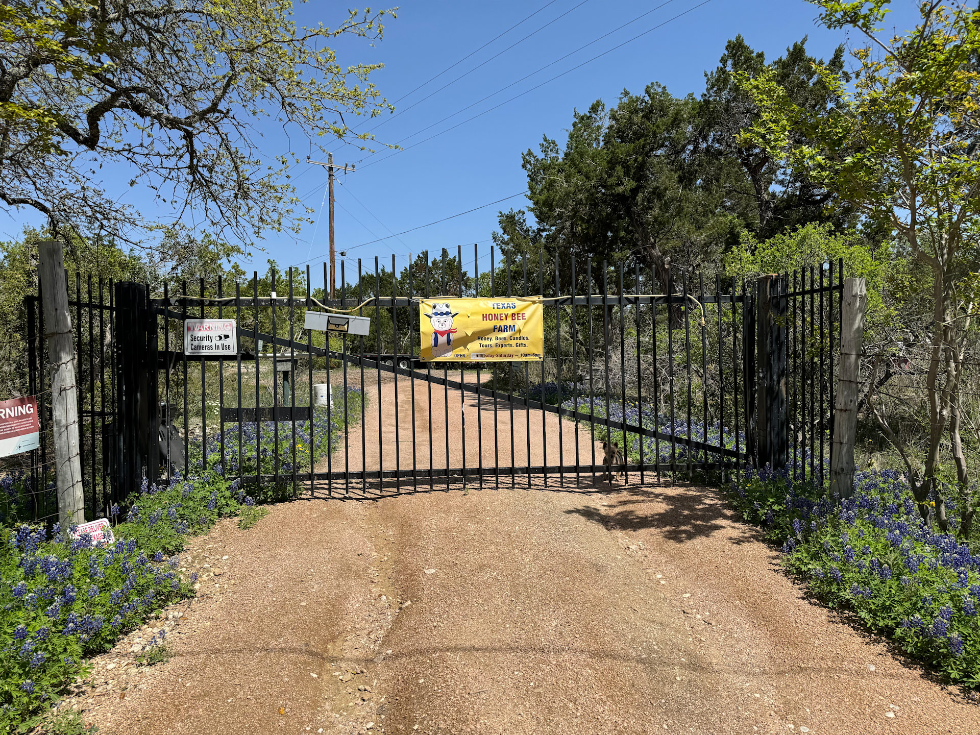 Bee Friendly Austin: Honey Bee Farm