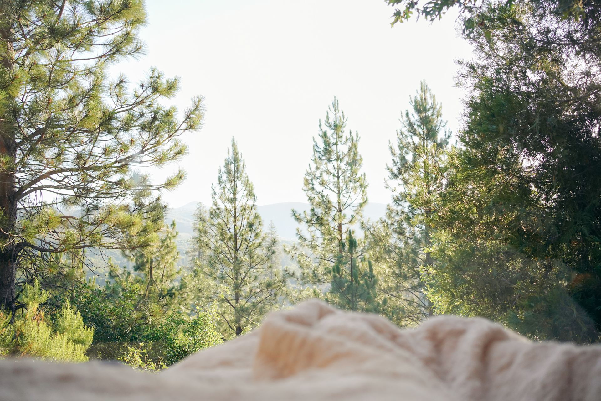 View from bed 