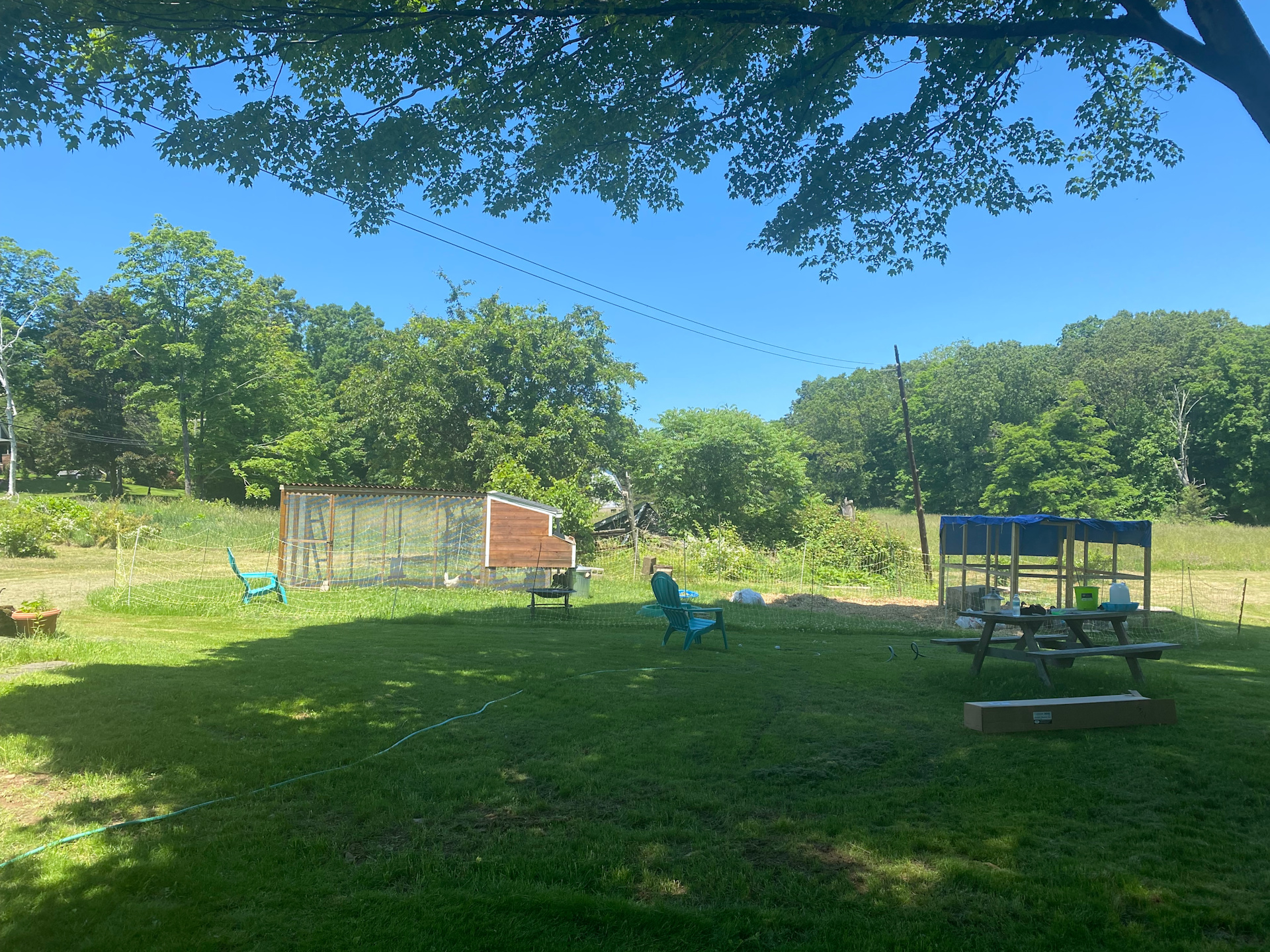 Greener Pastures Camp