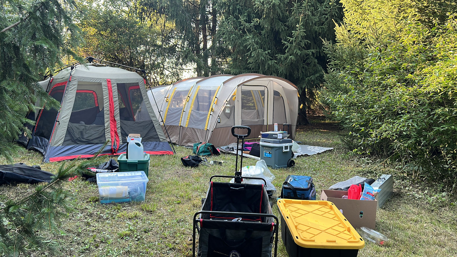 Found a nice flat area for 2 large tents. There are other areas for smaller tents. Would recommend placing a tarp under your tent for the sharp twigs and things. 