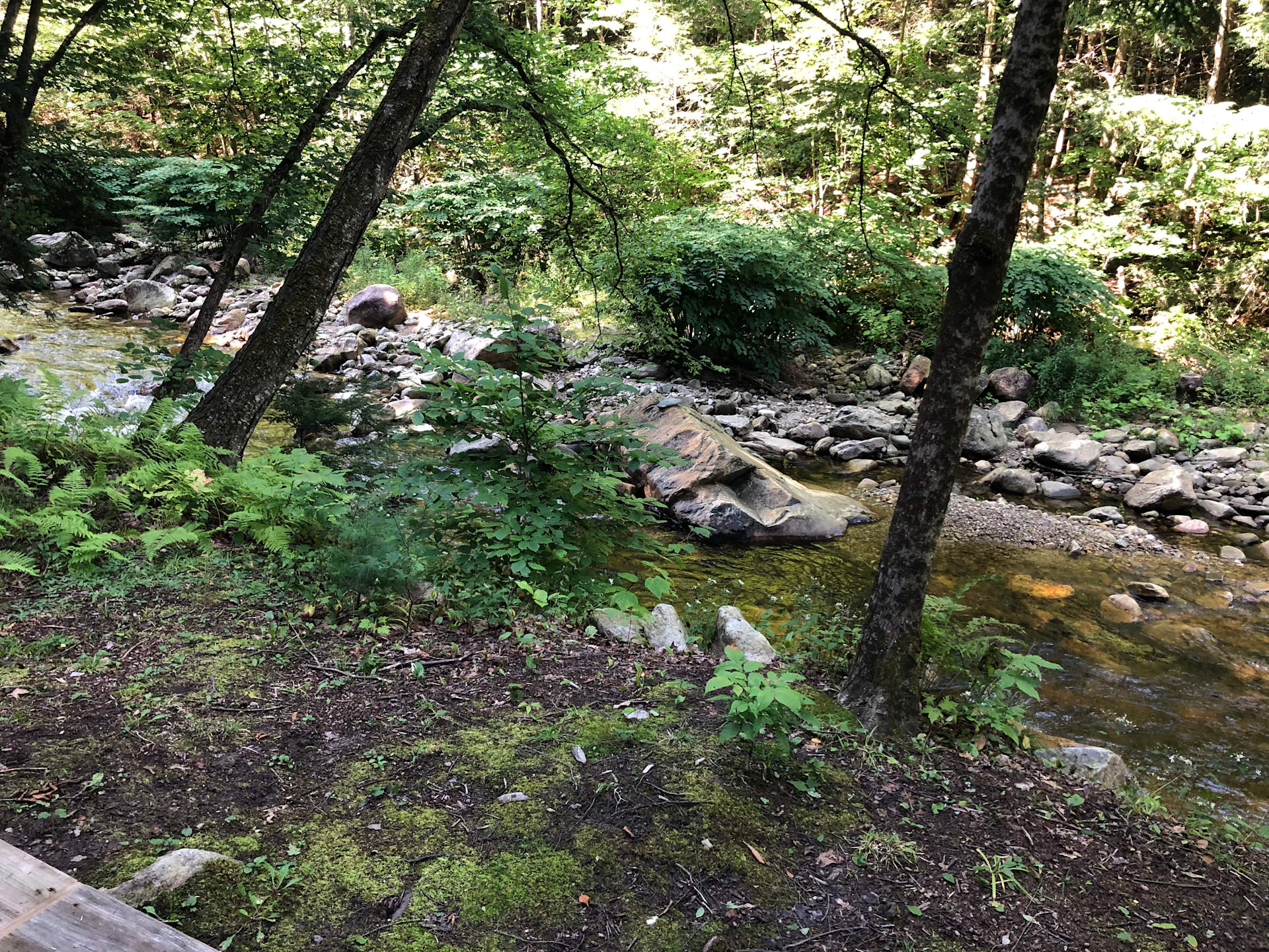 Riverhaven