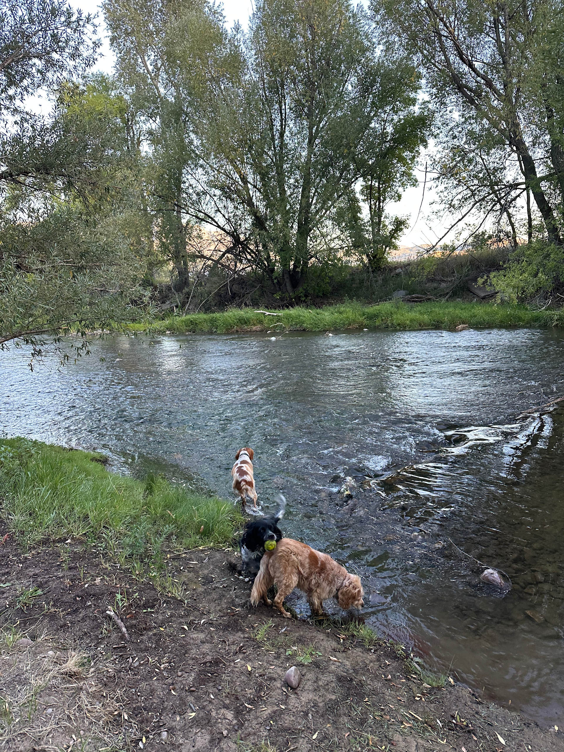 RIVER BEND CAMP GROUND