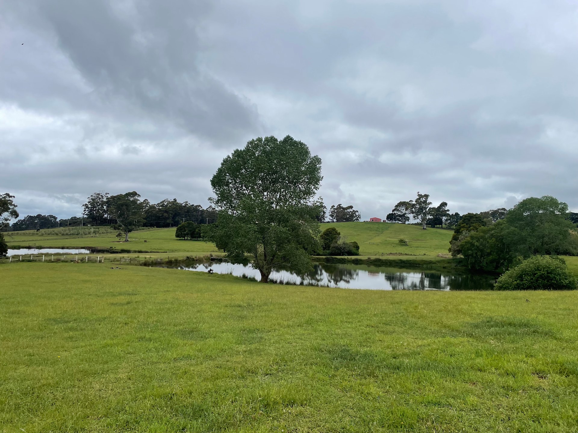 Shep’s Farm