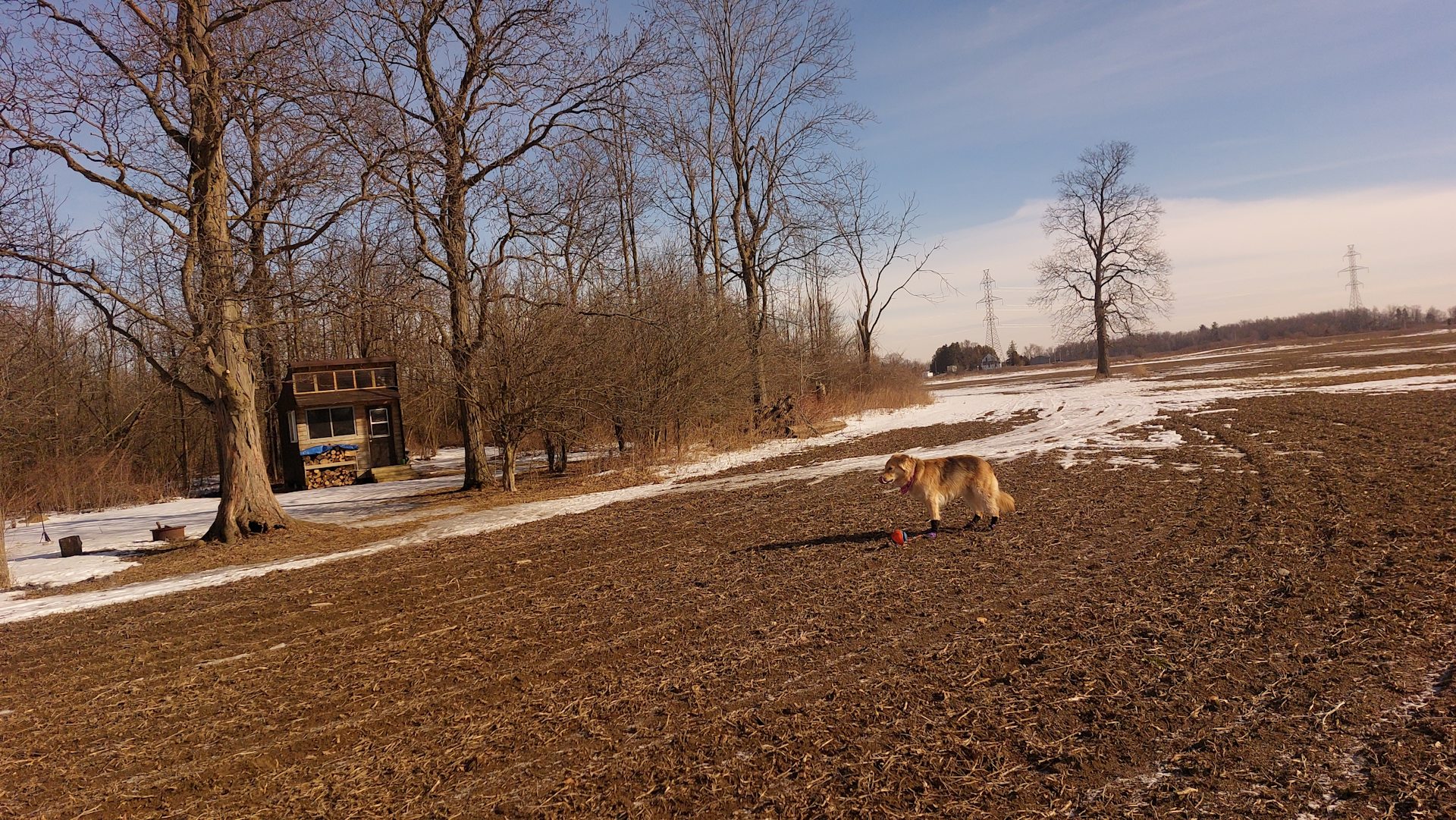 Macksville Acres